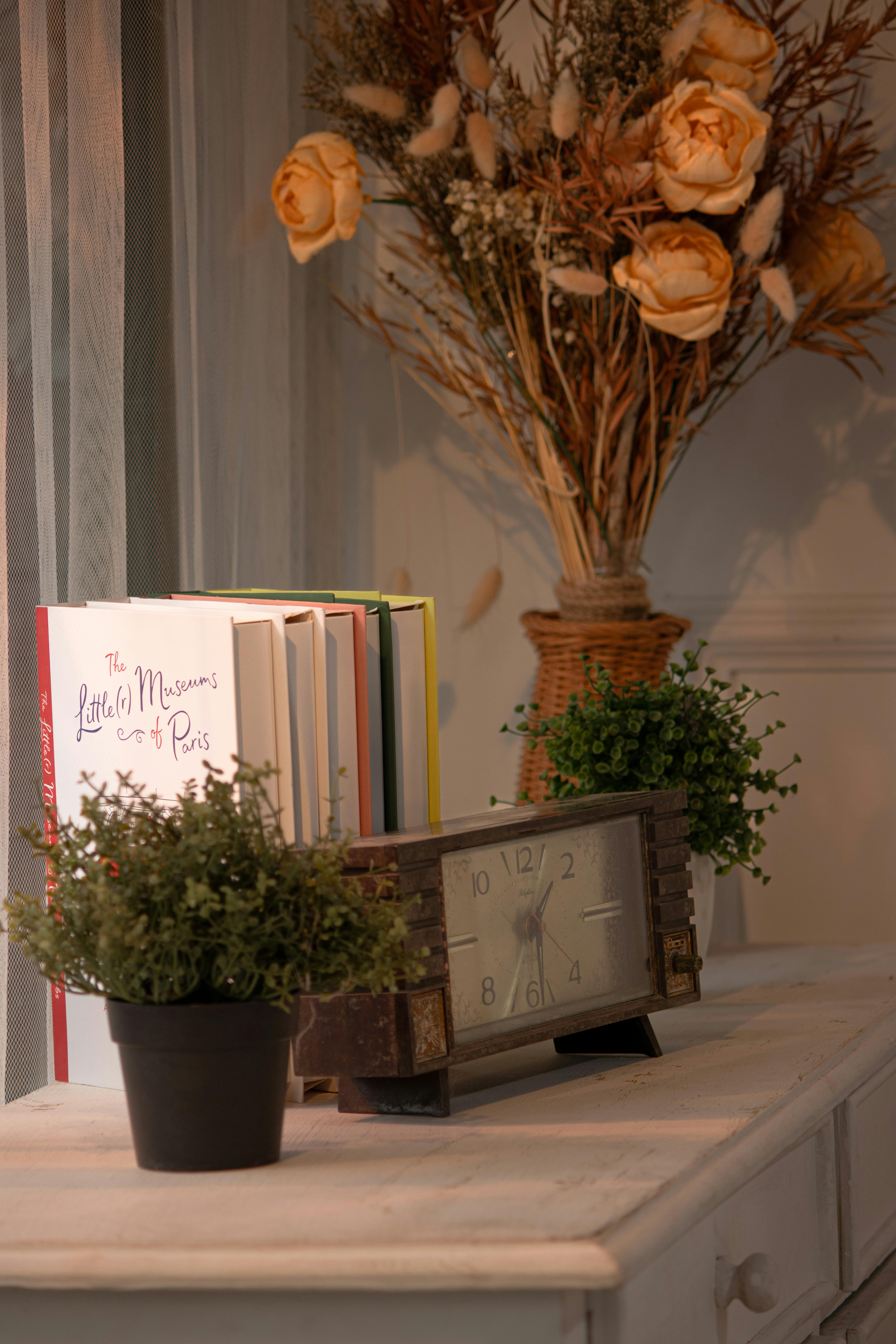 gratis Een warme en uitnodigende hoek met boeken, een antieke klok en planten, die rust en nostalgie symboliseren. Stockfoto