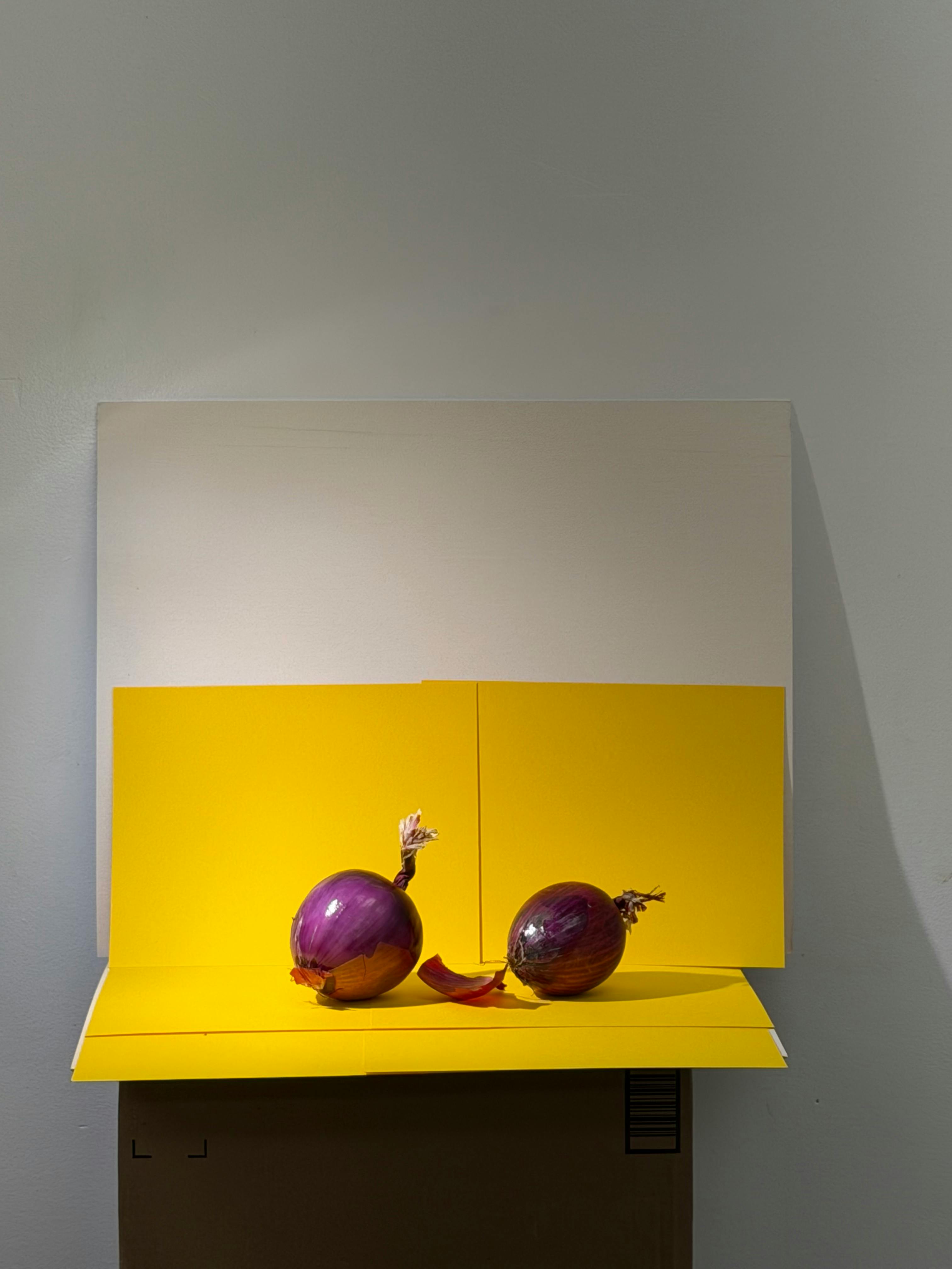 Kostnadsfria Livfull uppvisning av rödlök mot en slående gul bakgrund, vilket skapar en minimalistisk komposition. Stock foto