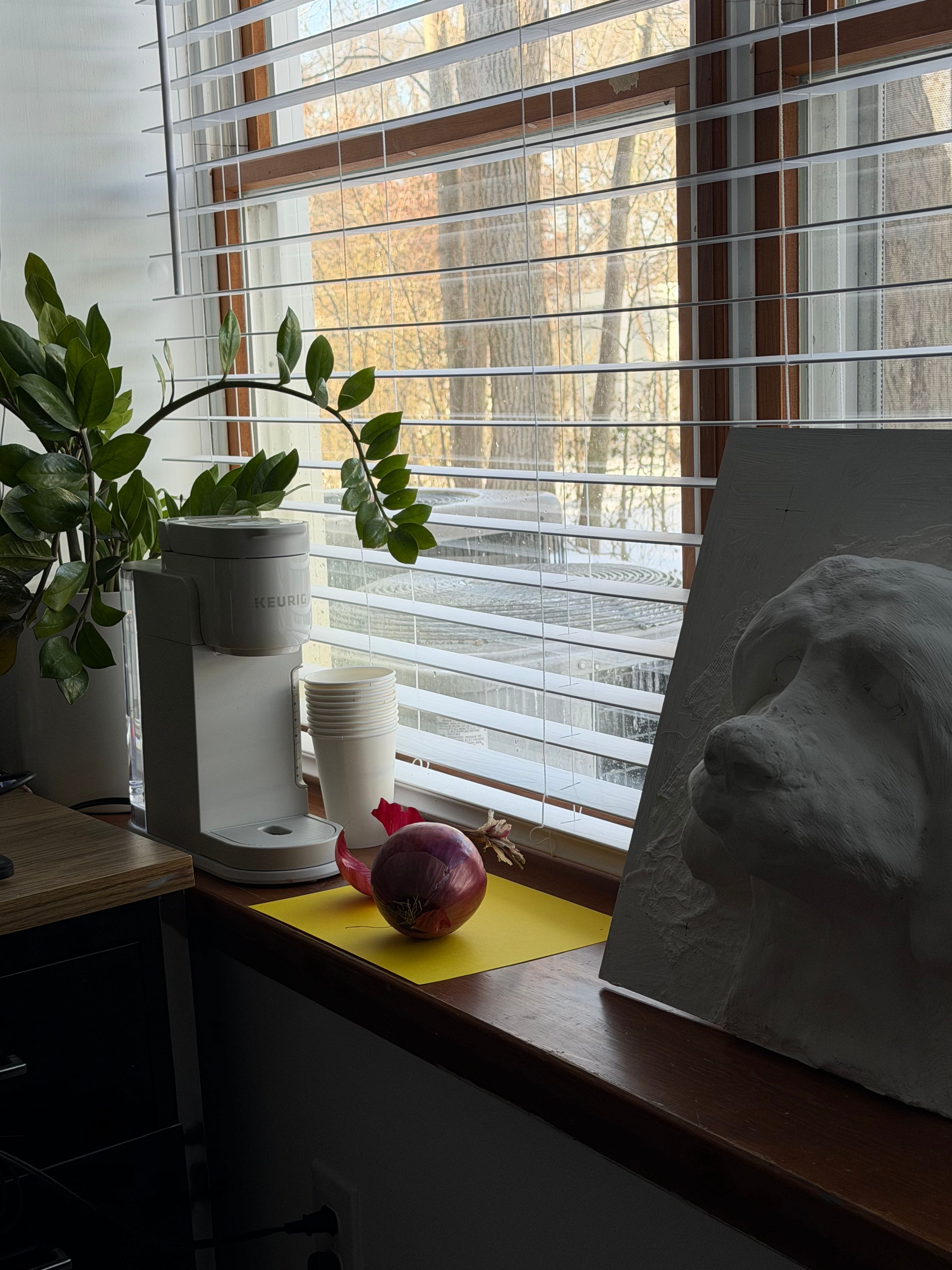 Still life composition with an onion, sculpture, and water purifier by a window.