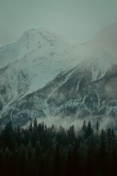 Misty snow-covered mountain with forest view in British Columbia.