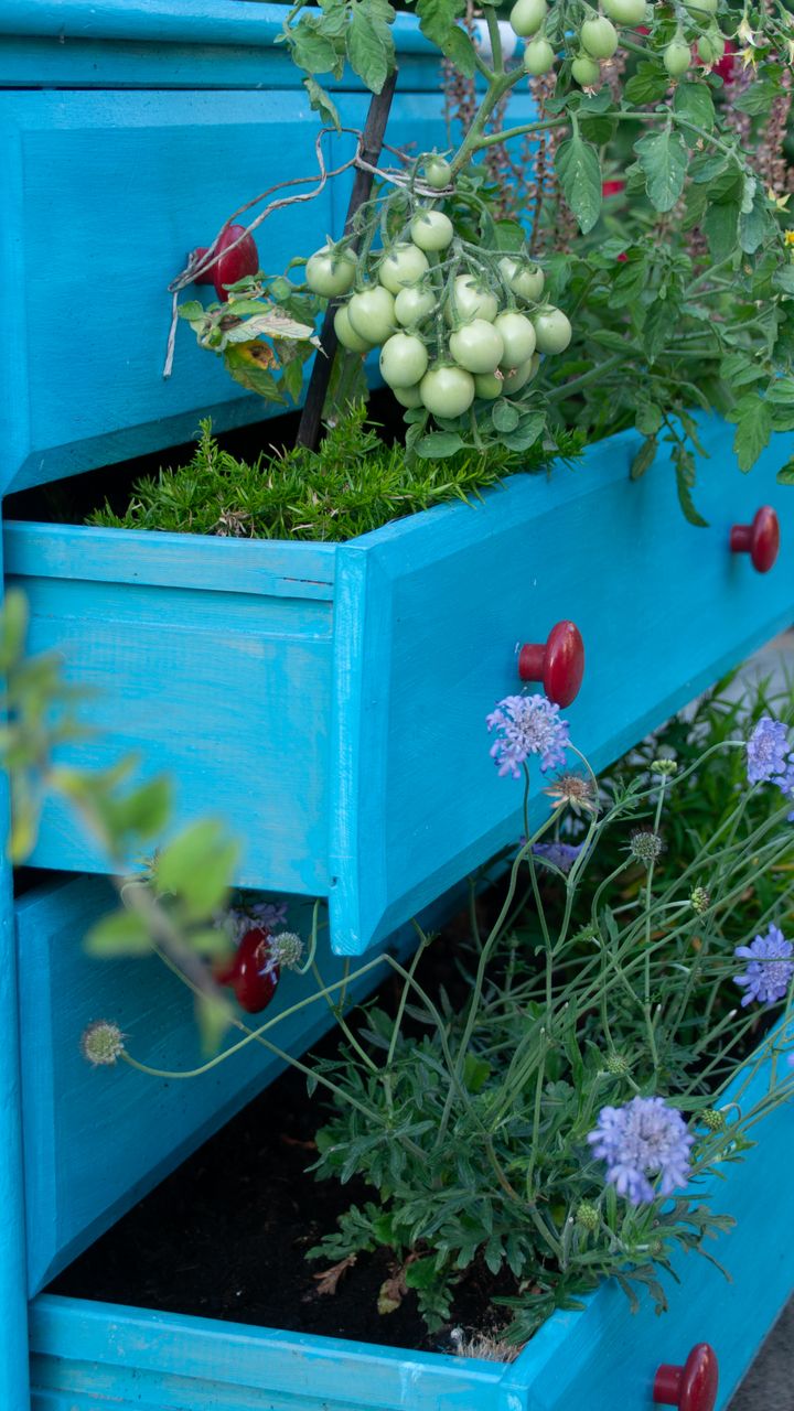 Use Repurposed Garden Containers