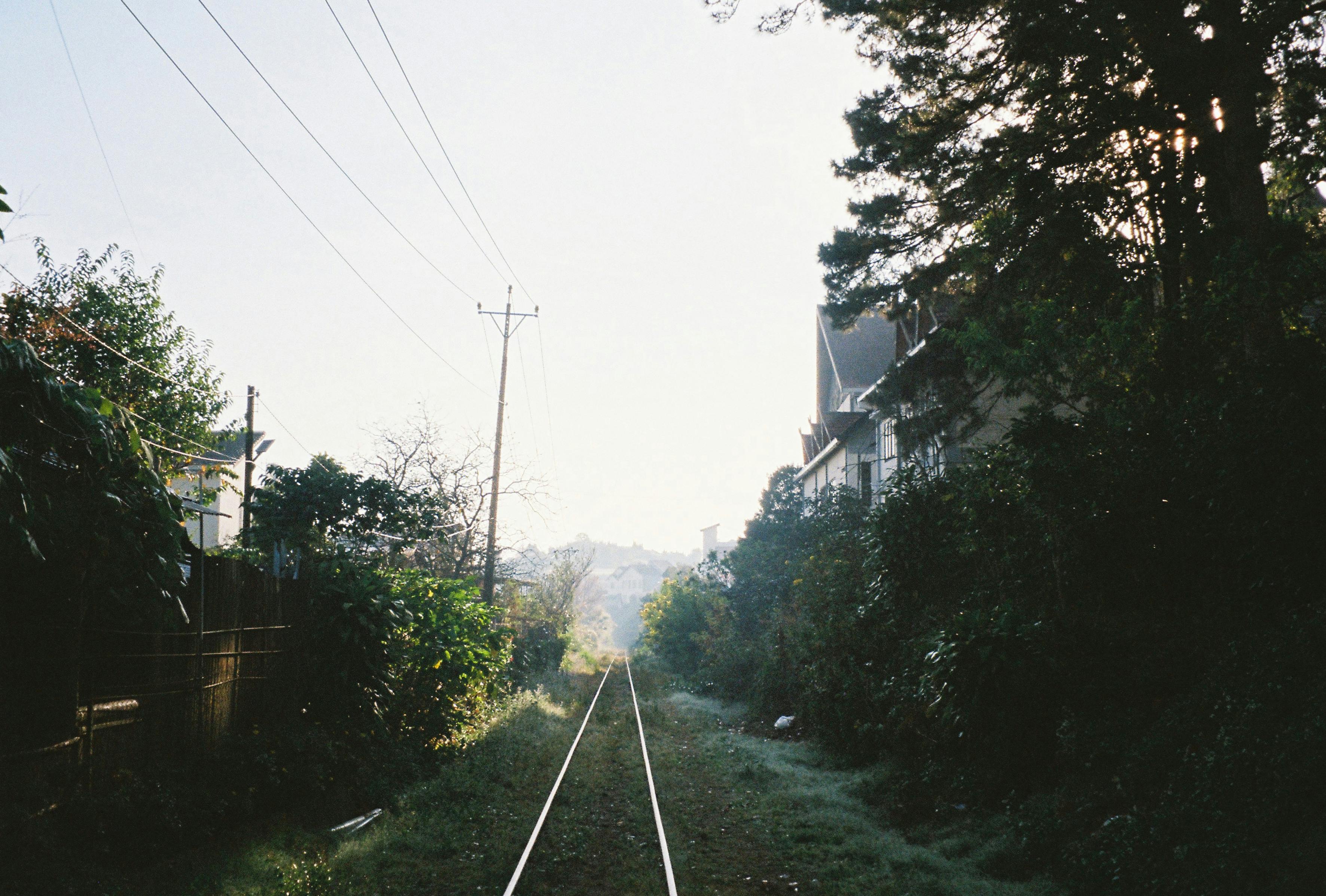 Gratis Vía ferroviaria tranquila flanqueada por árboles verdes y casas al amanecer, que ofrece un escape sereno. Foto de stock