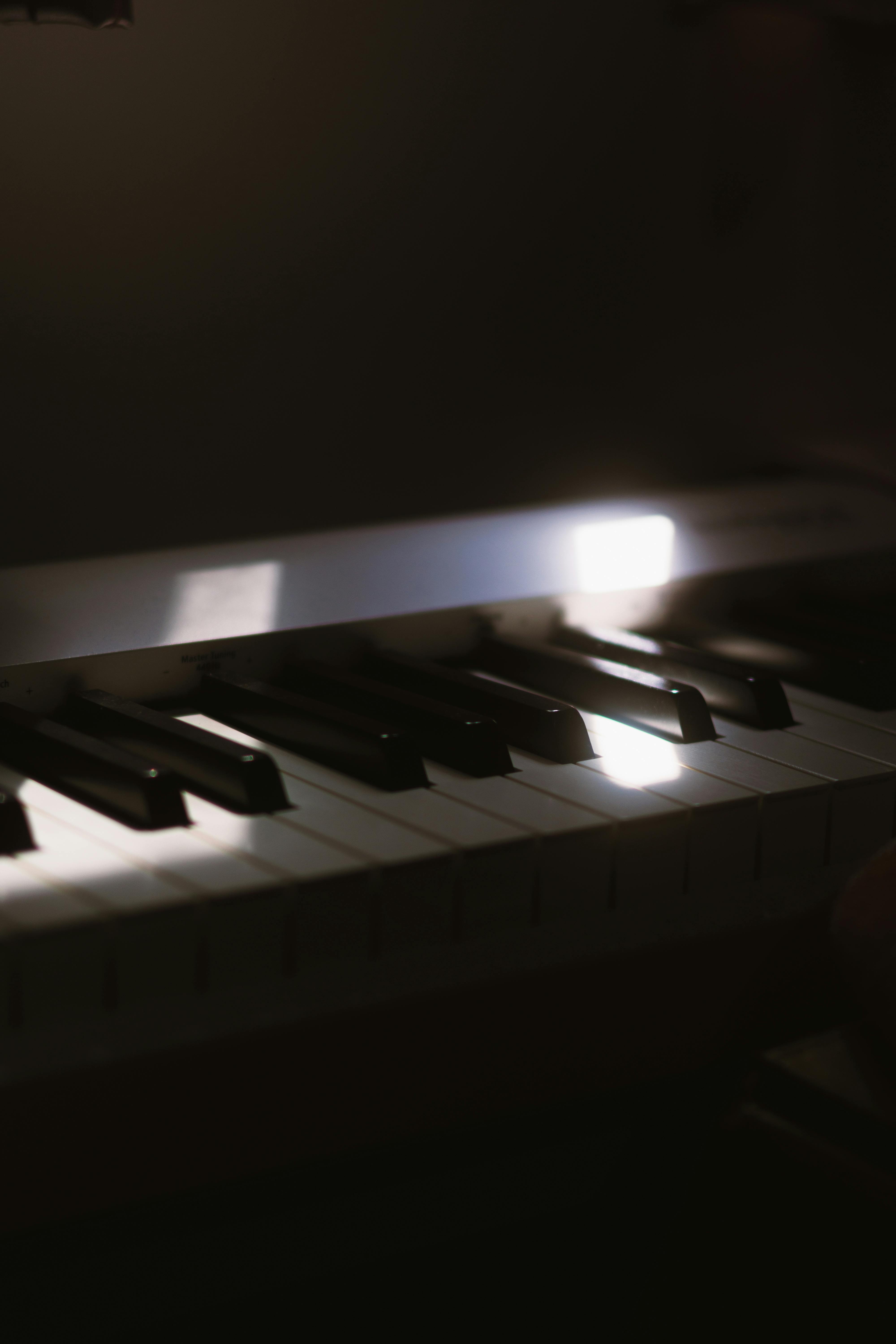 Miễn phí Ảnh cận cảnh các phím đàn piano trong điều kiện ánh sáng yếu, làm nổi bật kết cấu và độ tương phản. Ảnh lưu trữ