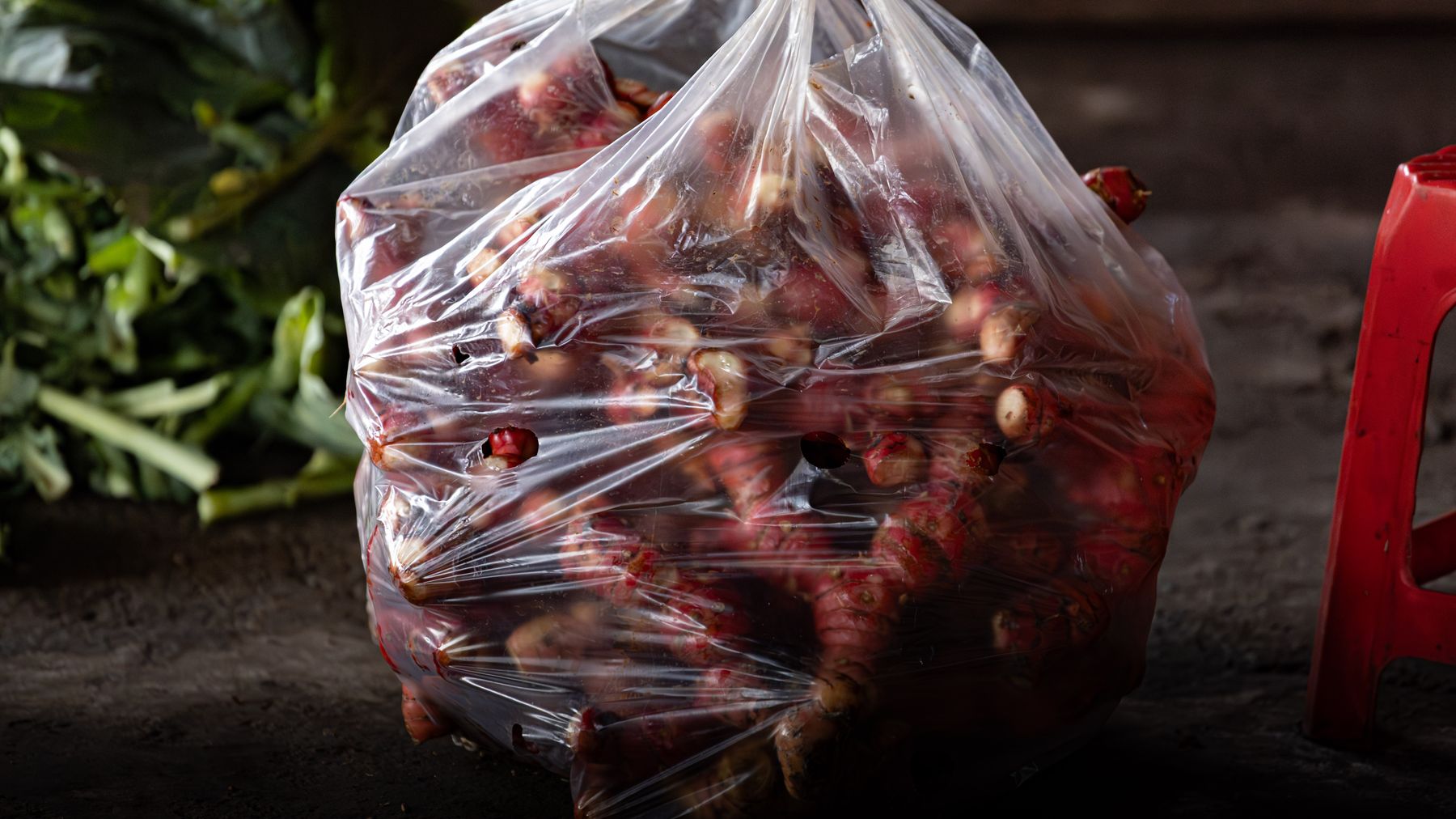 Sacchetto di radici di galanga fresca in una bancarella del mercato a Nam Dinh, Vietnam, che mostra i prodotti locali.