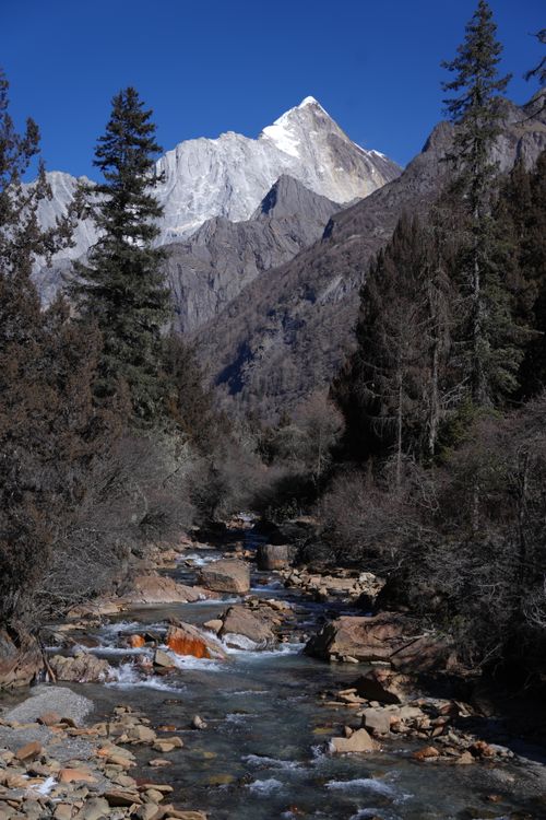Free A stunning alpine scene with a snow-capped mountain, forest, and stream under a clear blue sky. Stock Photo