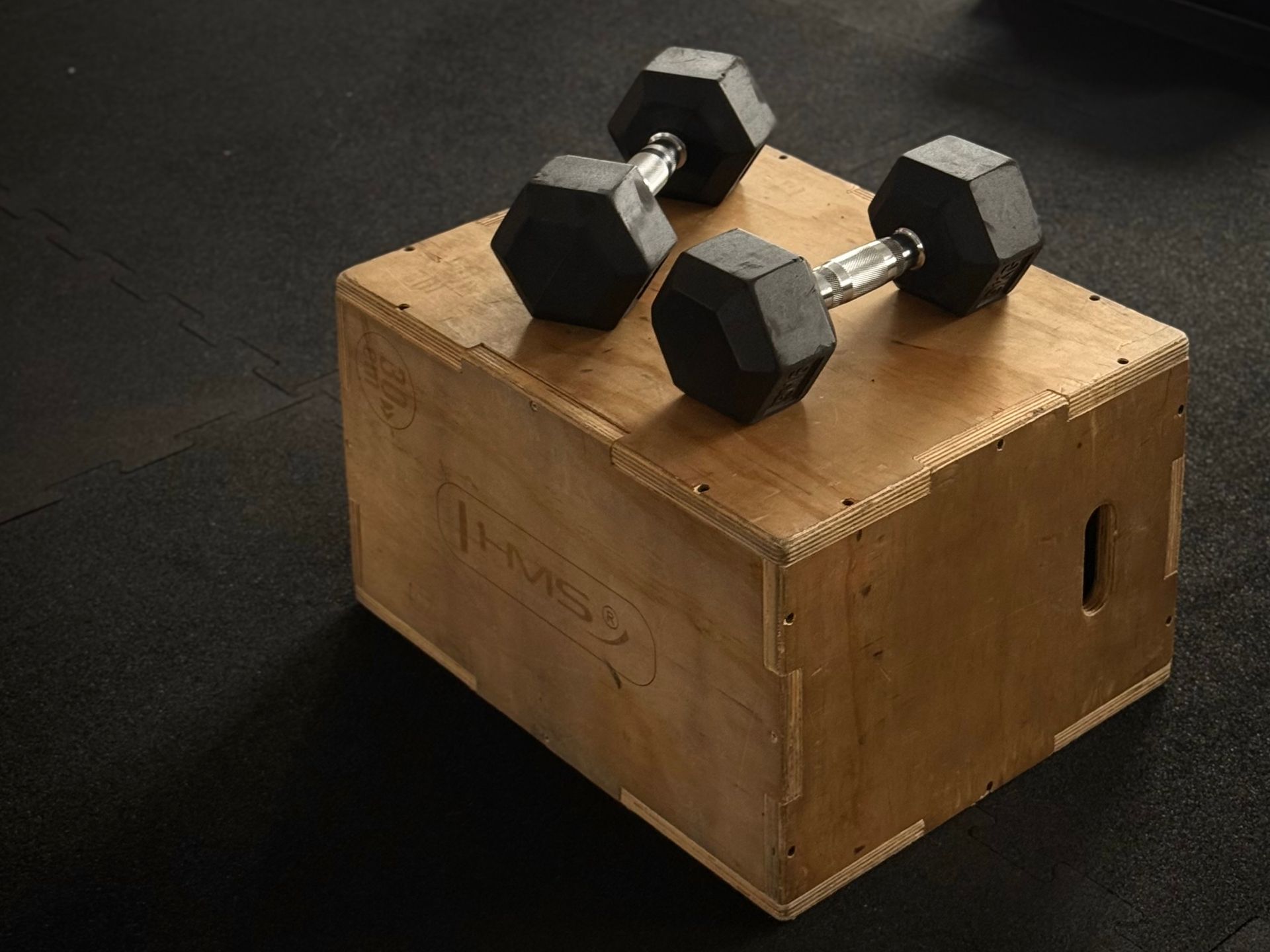 Sabah ışığında boş bir spor salonunda yere dizilmiş dambıllar
