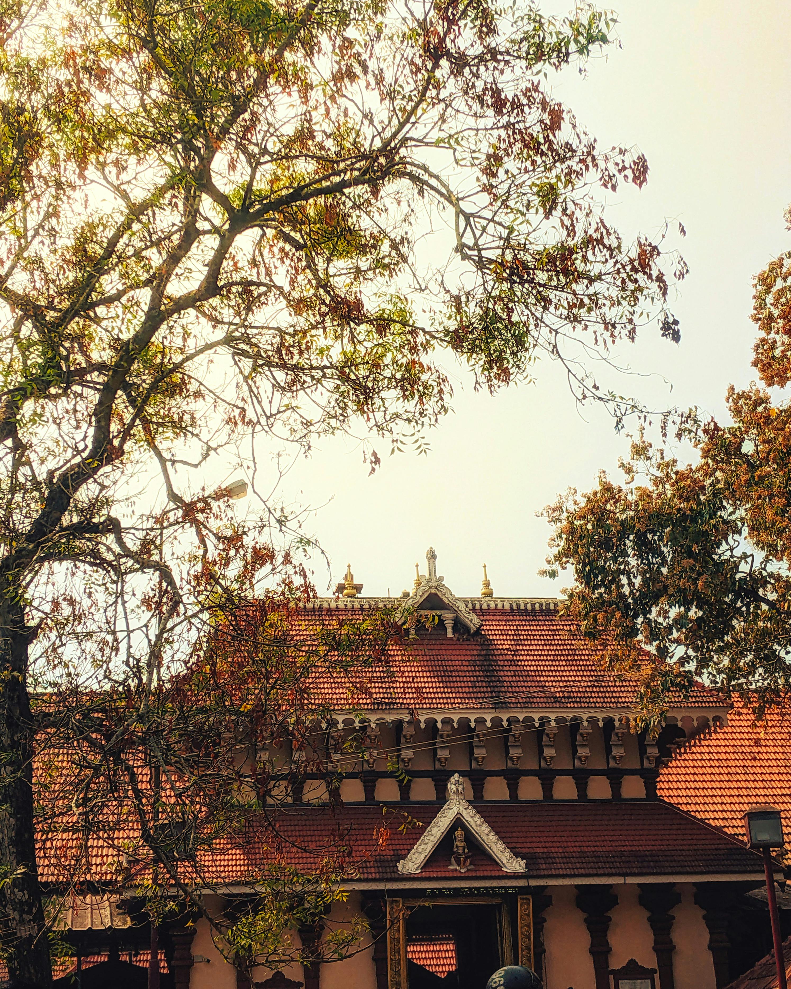 Free Charming traditional building with intricate details surrounded by vibrant autumn foliage. Stock Photo