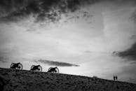 远处的人影映衬着戏剧性的天空下，山上大炮的黑白轮廓