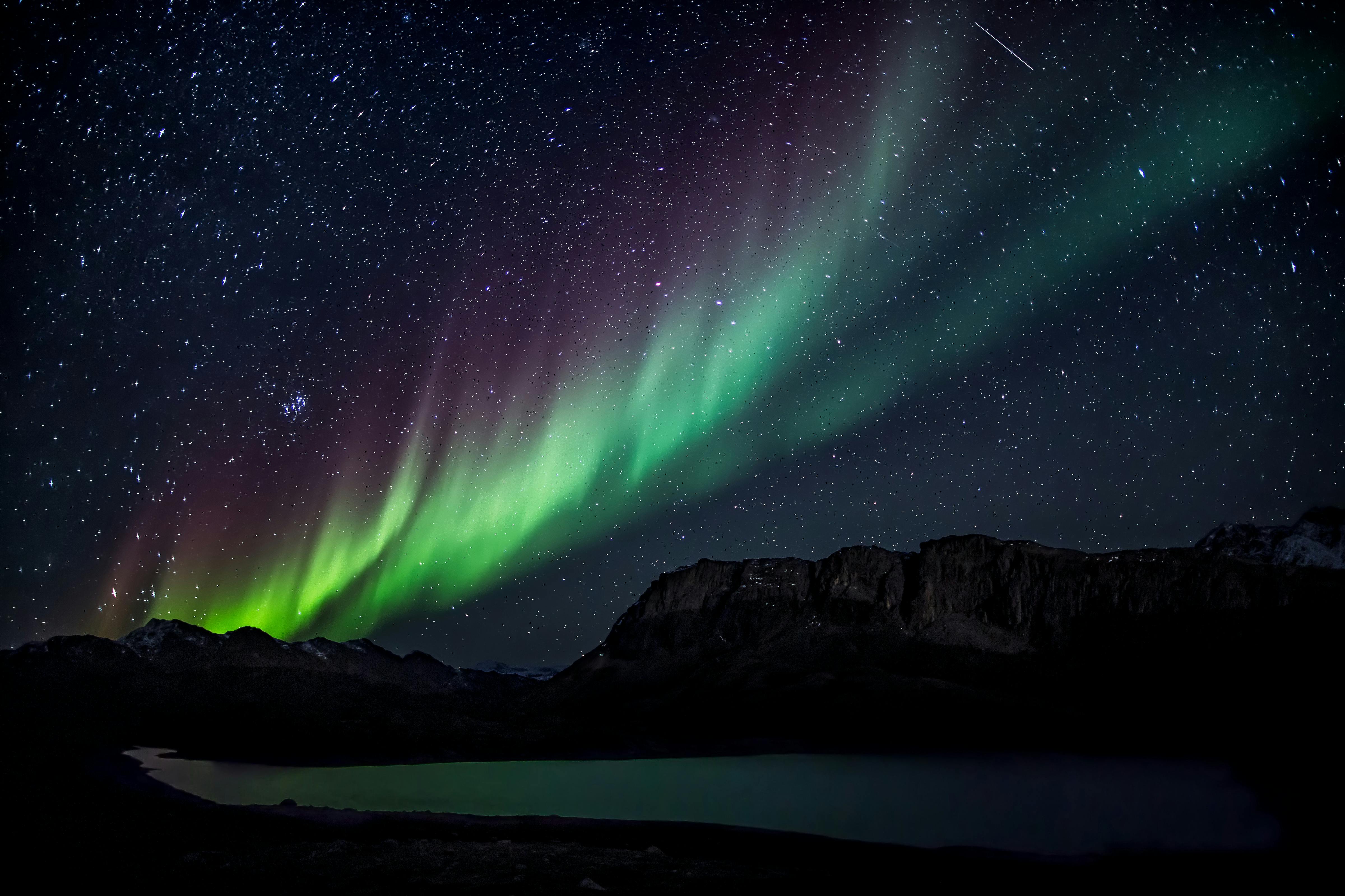 Baixe o papel de parede Aurora Austral para o seu celular em imagens  verticais de alta qualidade Aurora Austral gratuitamente