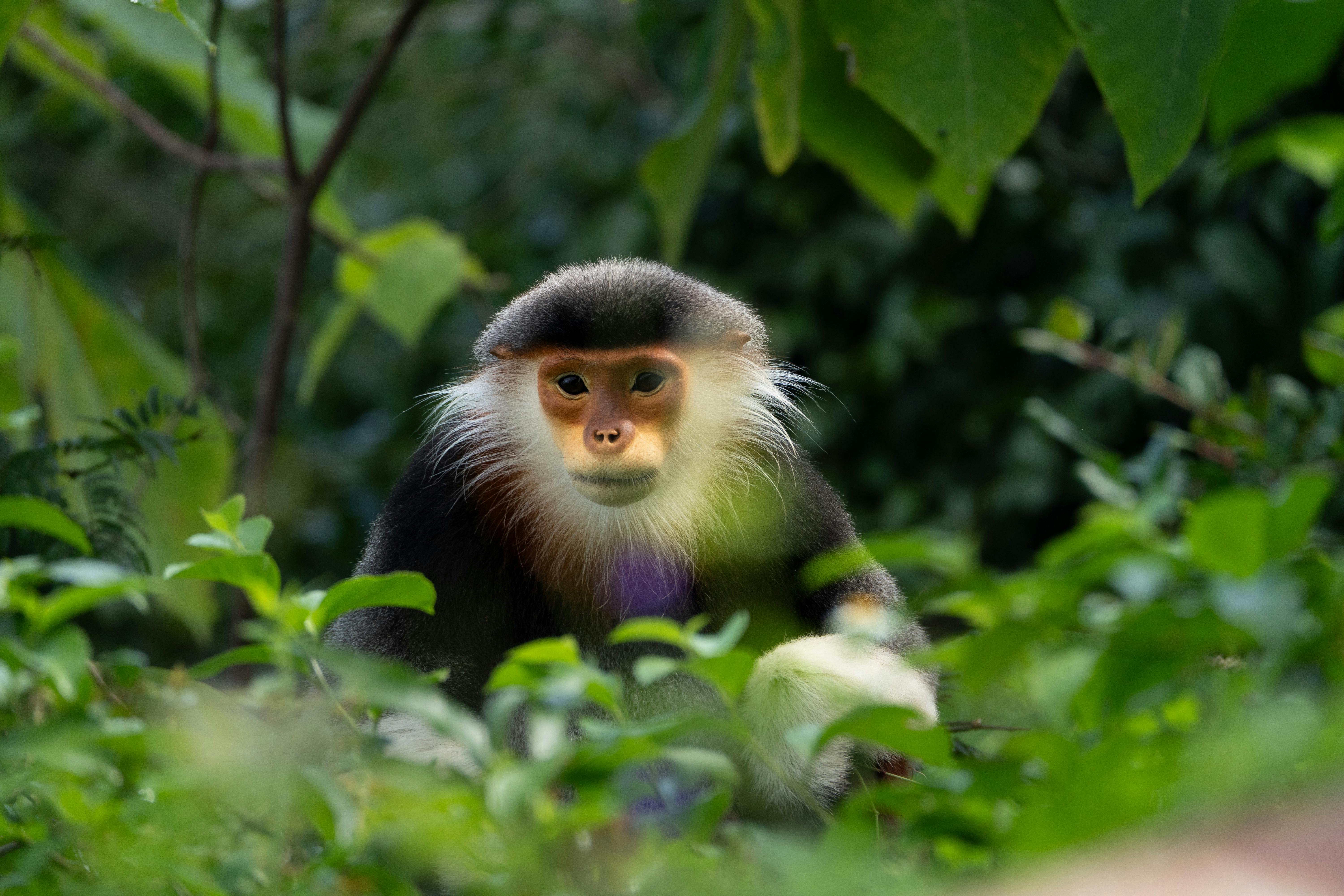 Landmarks in Trou Deau Douce