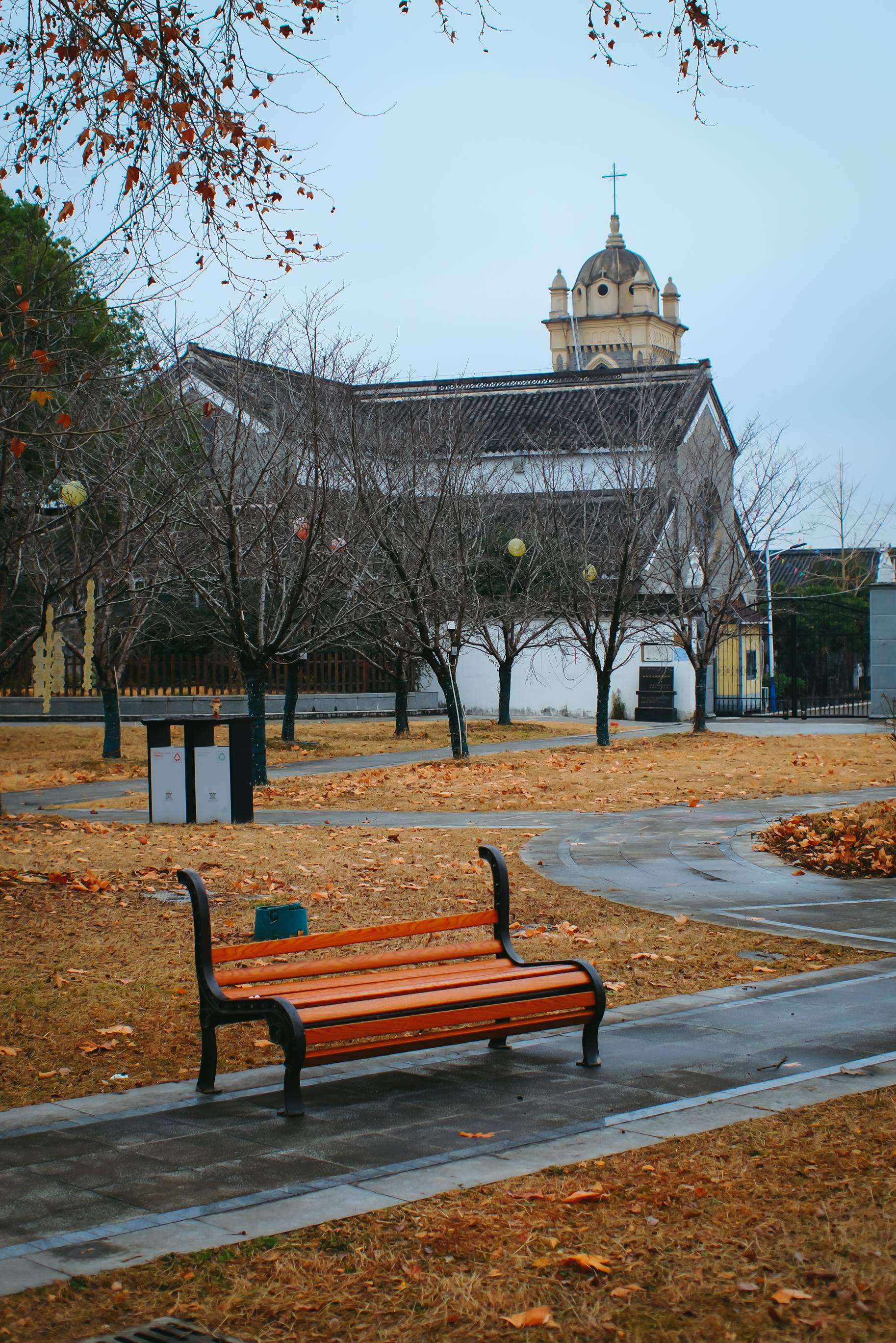 Free Tranquil park scene with empty bench and leafless trees in a quiet urban area. Stock Photo