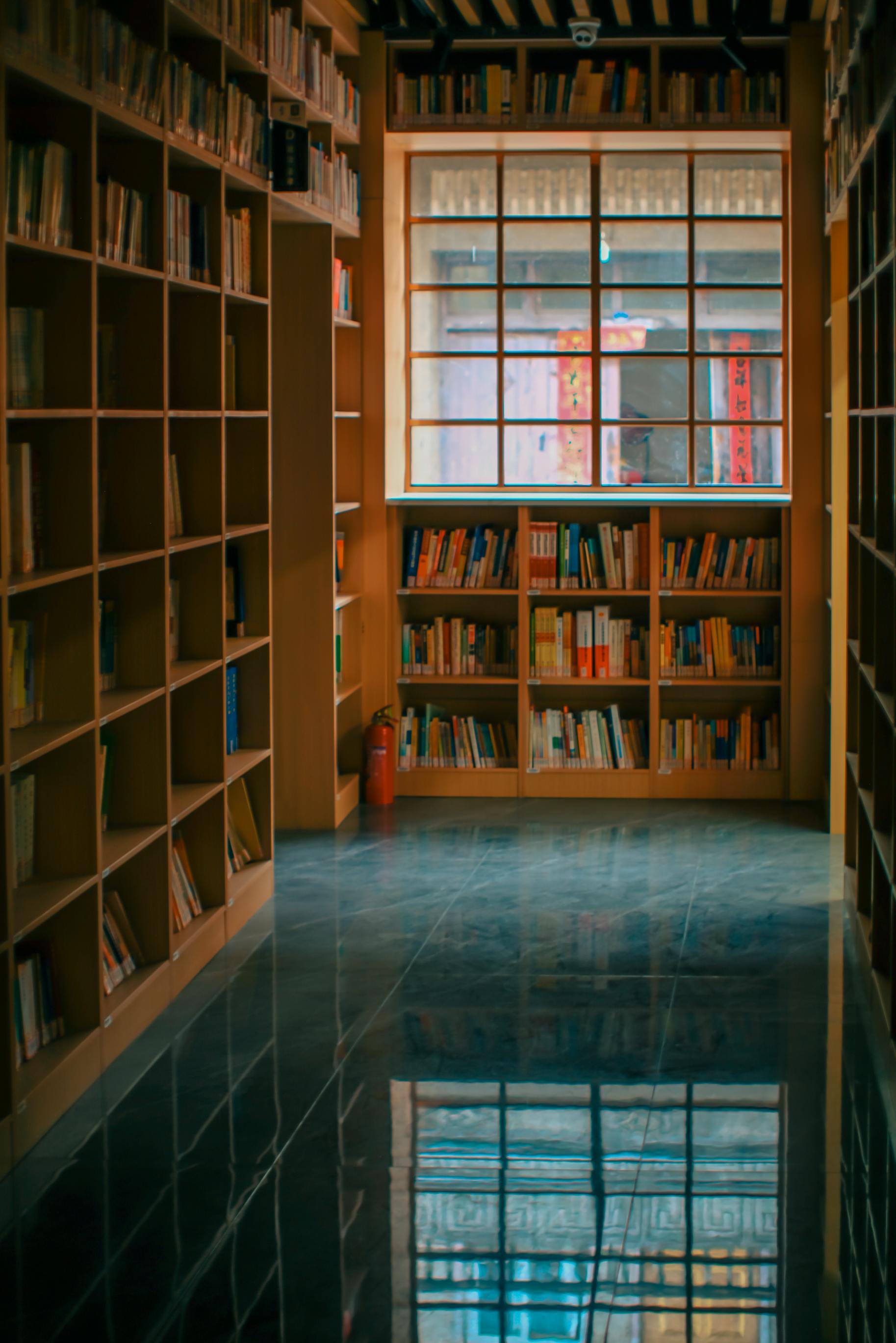 Cozy Library Corridor with Sunlit Window