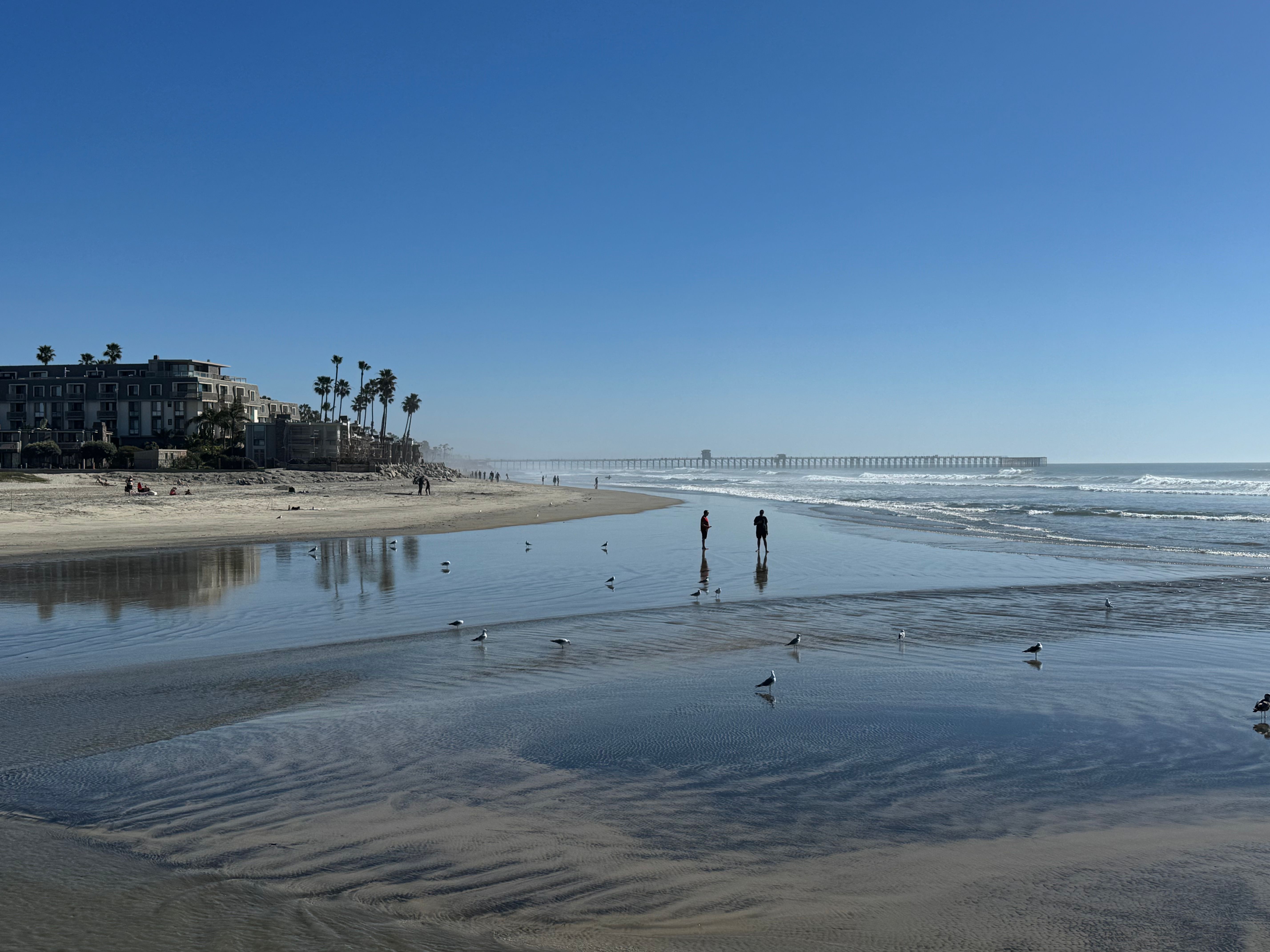 Oceanside Nonprofits Share $98,000 in Grants to Boost Food Security