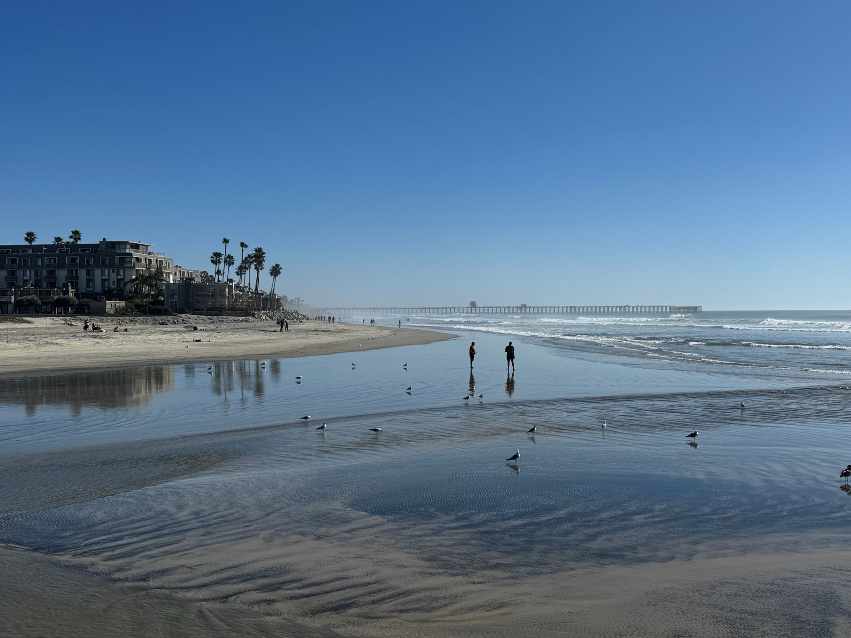 Oceanside Nonprofits Share $98,000 in Grants to Boost Food Security