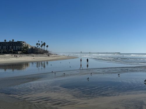 Free Peaceful Oceanside beach scene with distant pier, seagulls, and reflections. Stock Photo