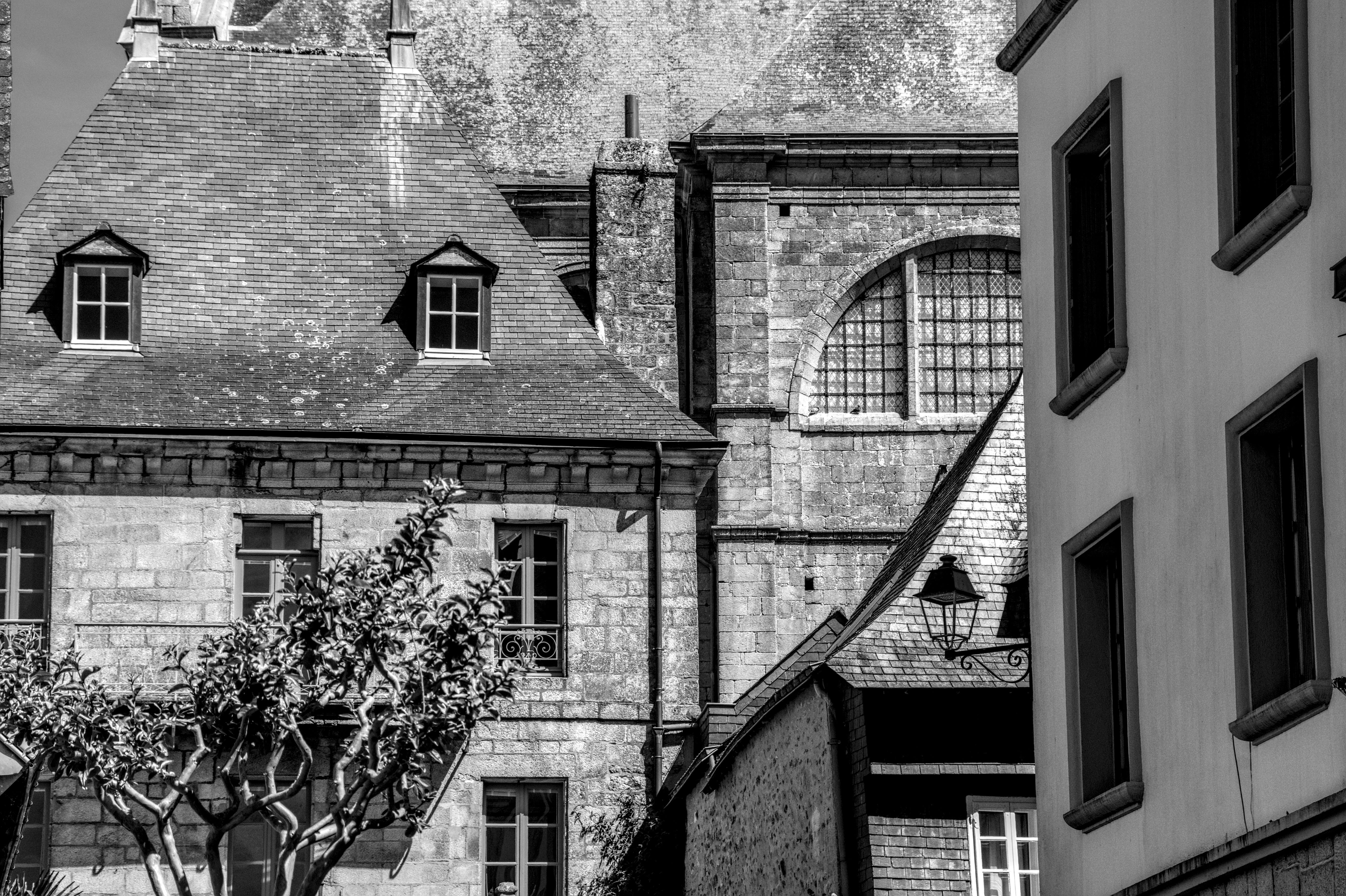 Kostenlos Schwarz-Weiß-Fotografie historischer französischer Architektur, die kunstvolle Steinmetzarbeiten und klassisches Design zeigt. Stock-Foto