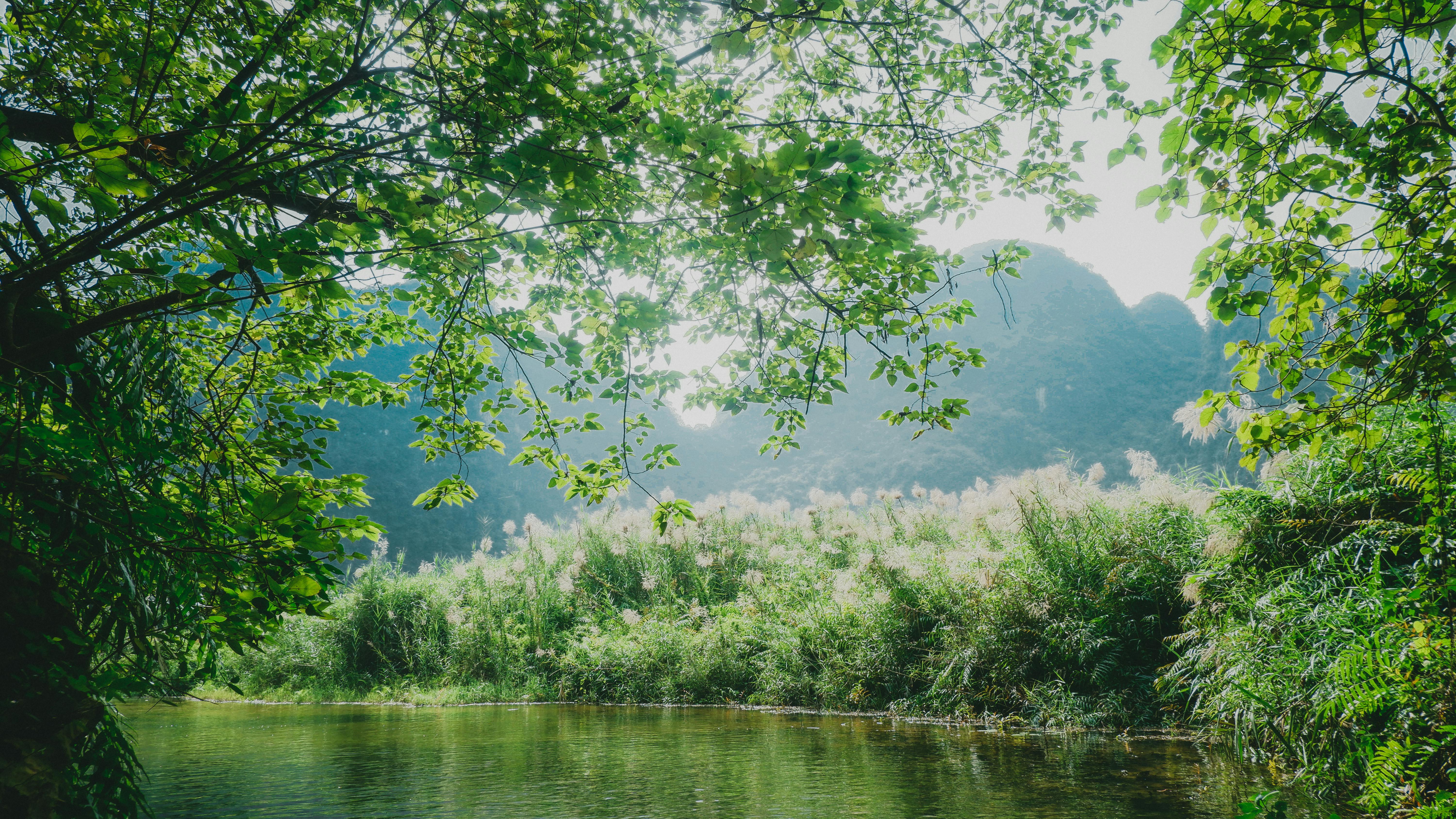 Free Peaceful river scene in Vietnam with lush greenery and distant hills. Stock Photo