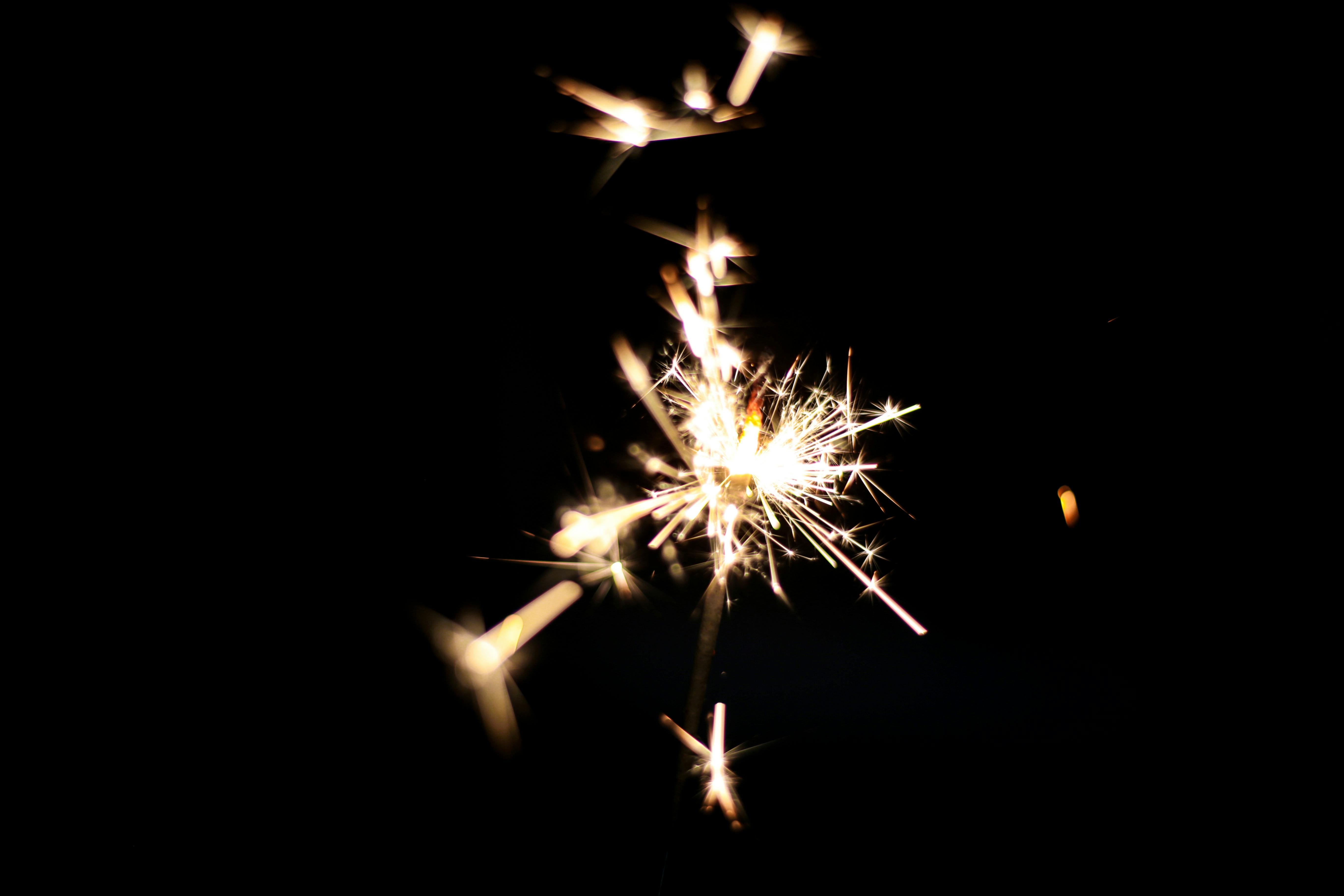 Kostnadsfria Glödande tomtebloss mot en mörk bakgrund, som fångar essensen av fest. Stock foto
