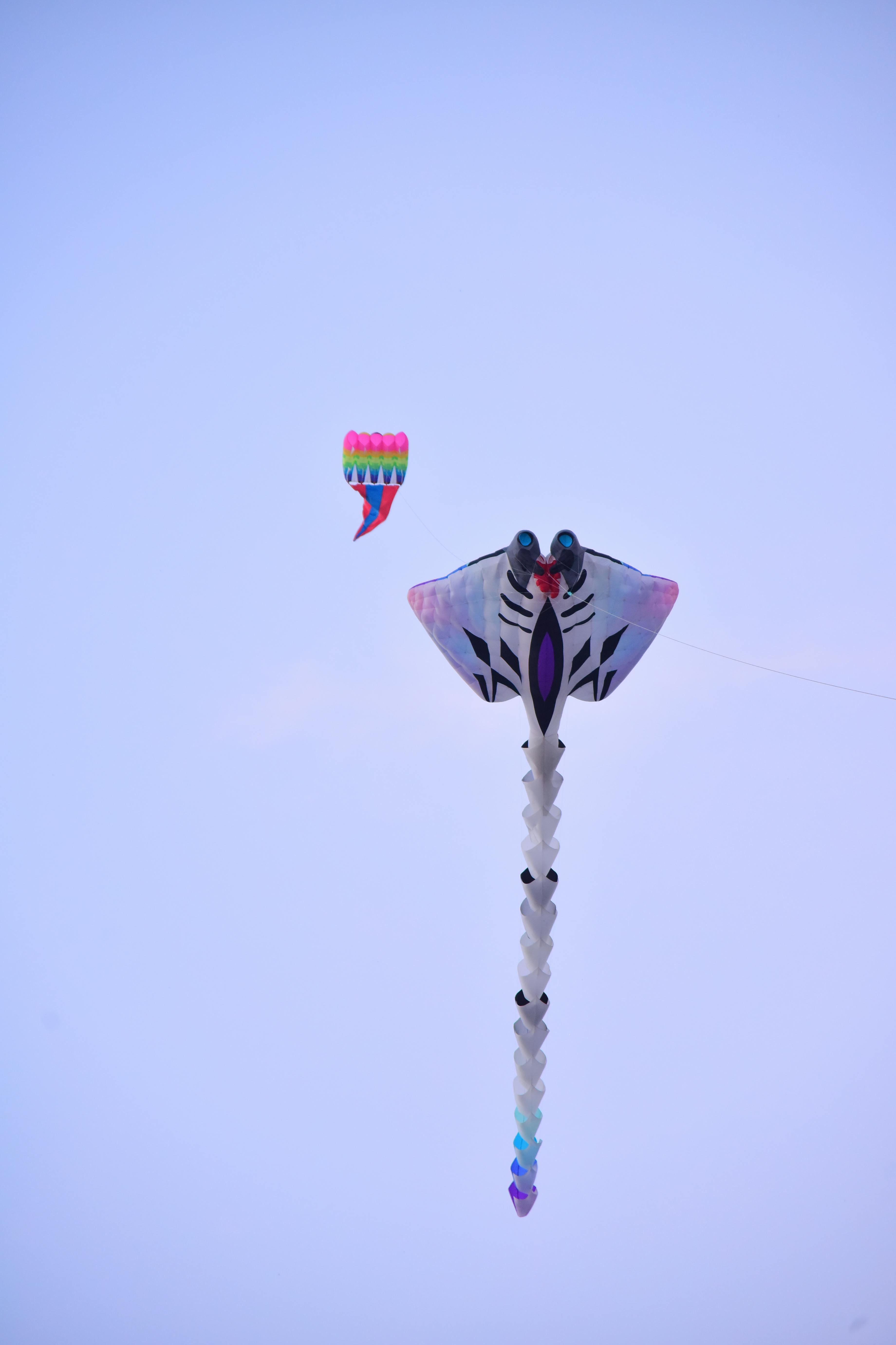 Free Two vibrant kites soar against a clear sky, capturing a carefree moment. Stock Photo