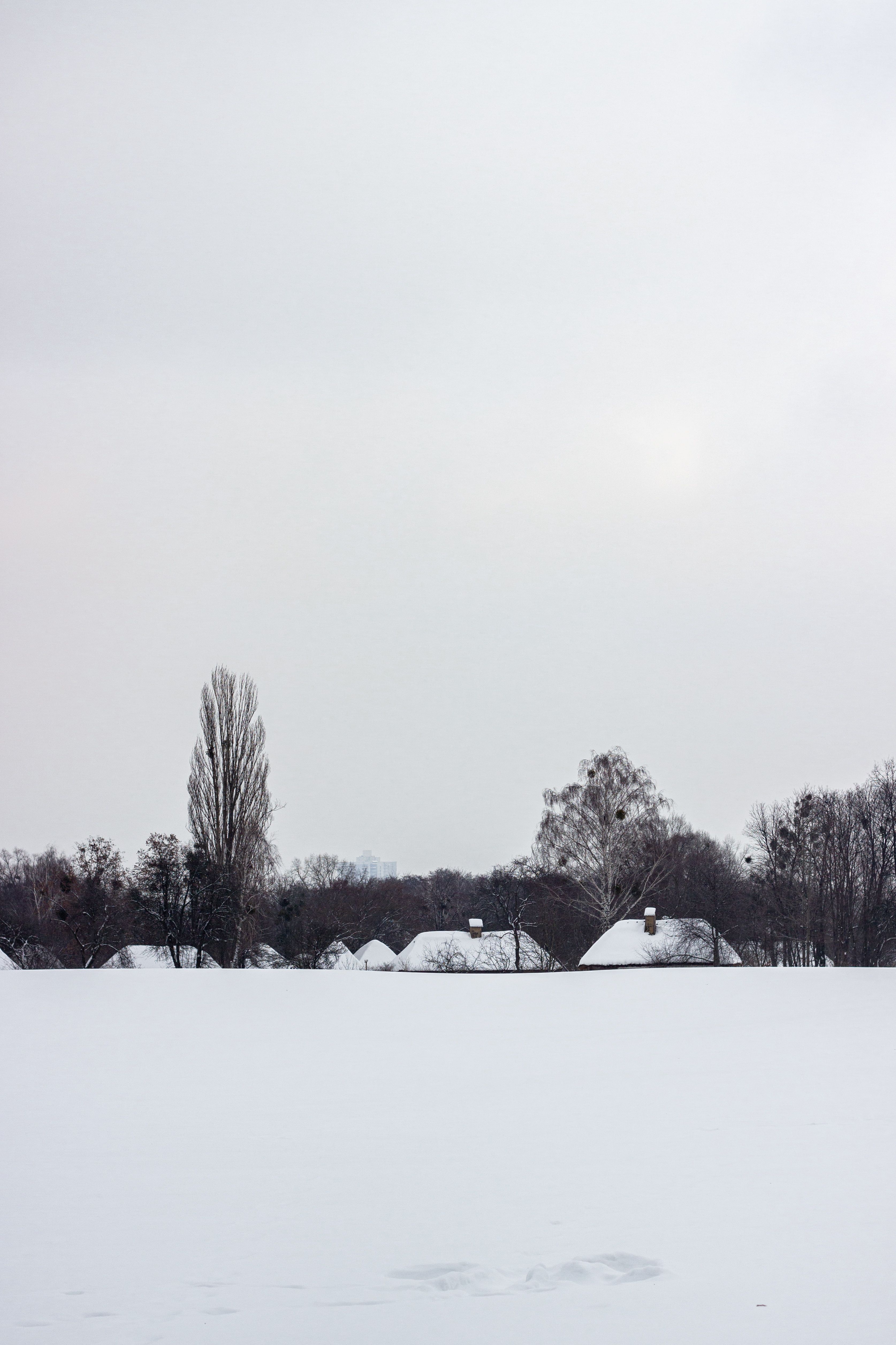Snow-Covered Rural Landscape with Huts · Free Stock Photo