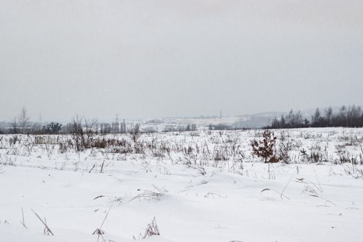 Serene winter landscape with snow-covered field and leafless trees.