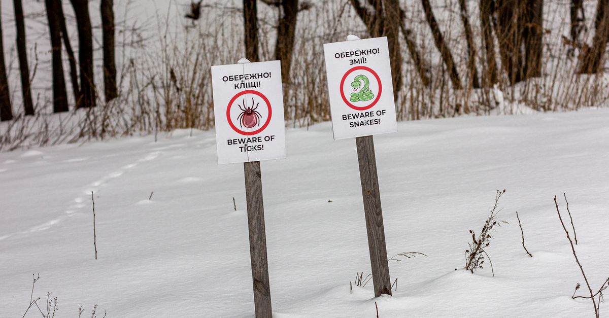 Snowyproof Sign Warning Signs in Snowy Forest Landscape · Free Stock Photo