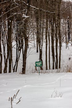 A snow-covered forest with a caution sign among bare trees, creating a serene winter scene.