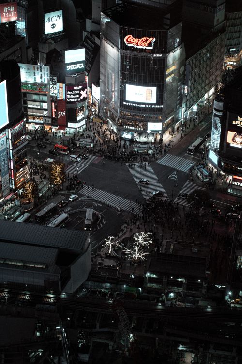 Vibrant Night at Shibuya Crossing Tokyo · Free Stock Photo
