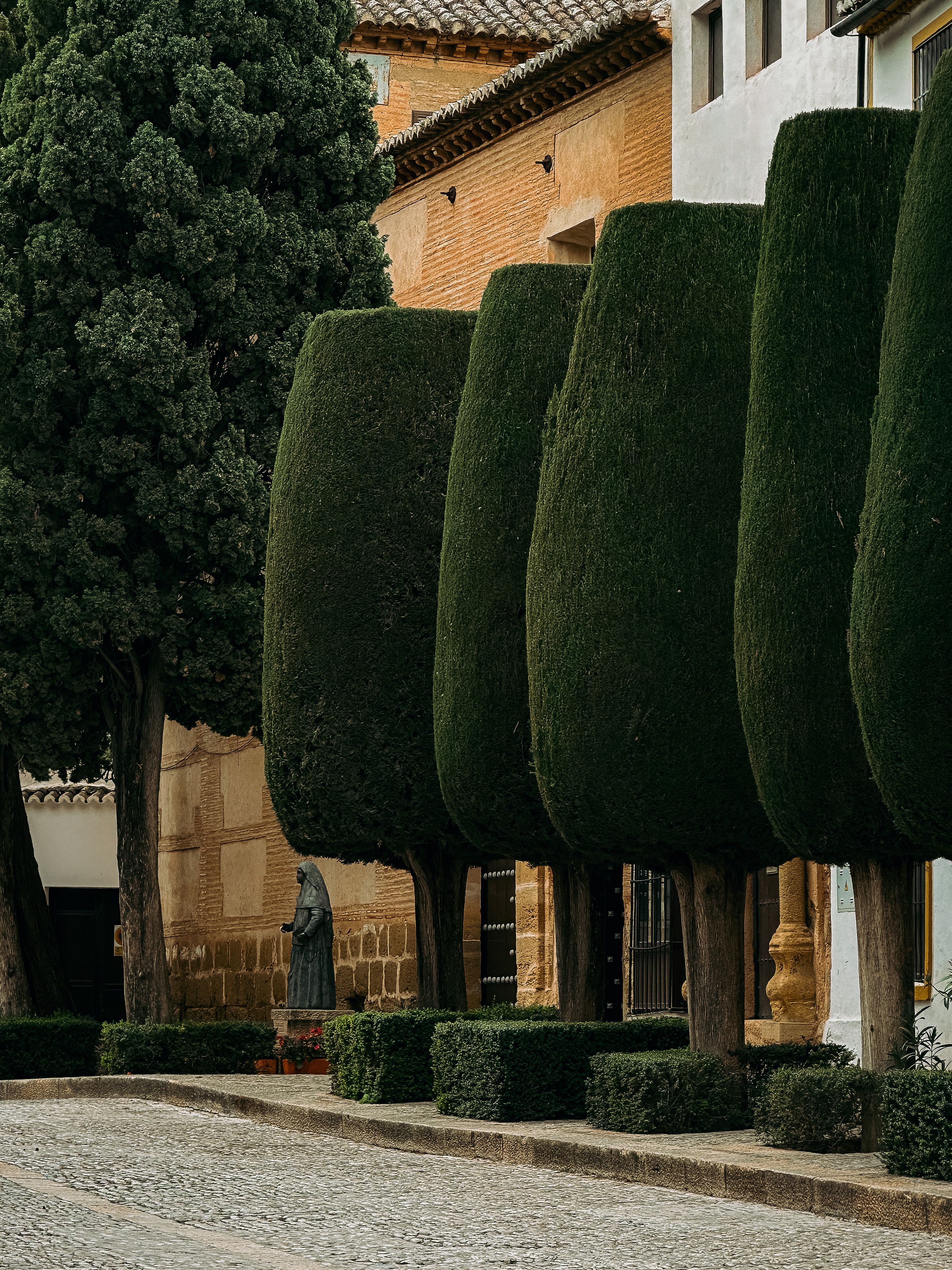 A serene street in Ronda, Andalusia with neatly trimmed cypress trees and historic architecture.
