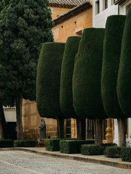 A serene street in Ronda, Andalusia with neatly trimmed cypress trees and historic architecture.