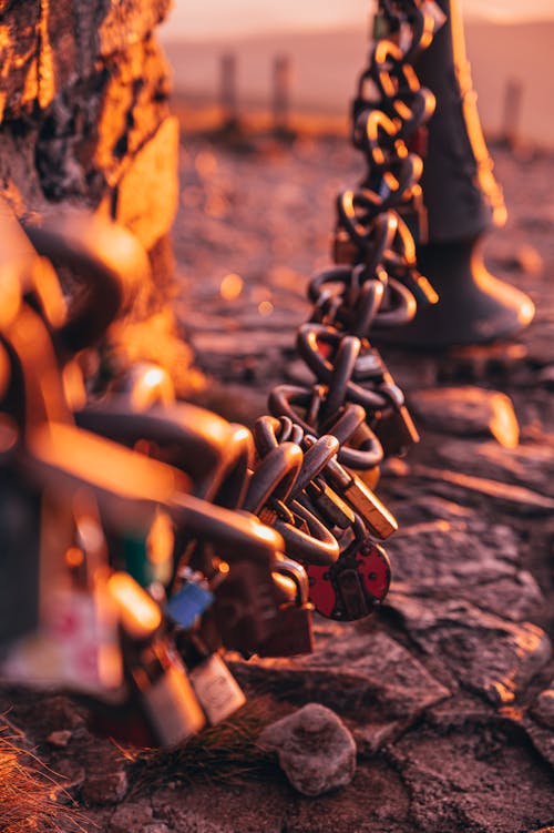 https://images.pexels.com/photos/3609267/pexels-photo-3609267.jpeg?auto=compress&cs=tinysrgb&dpr=1&w=500 https://images.pexels.com/photos/3609267/pexels-photo-3609267.jpeg?auto=compress&cs=tinysrgb&dpr=1&w=500