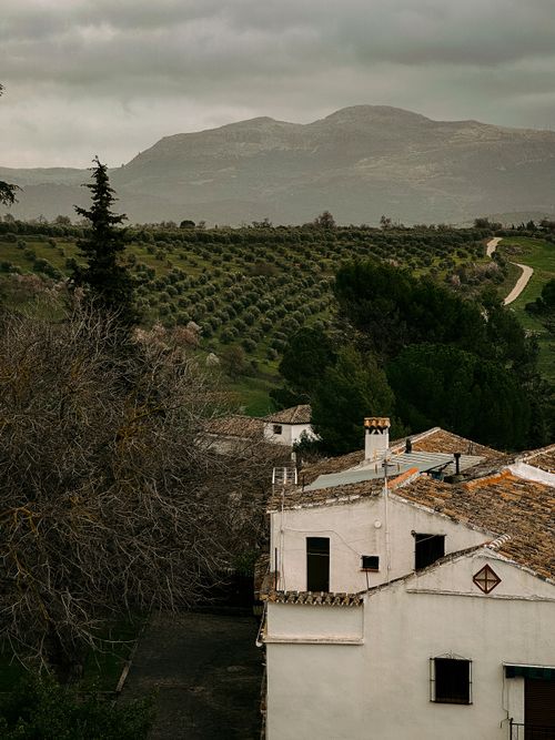 Free Beautiful landscape of Ronda, Spain featuring olive groves and traditional Andalusian architecture. Stock Photo