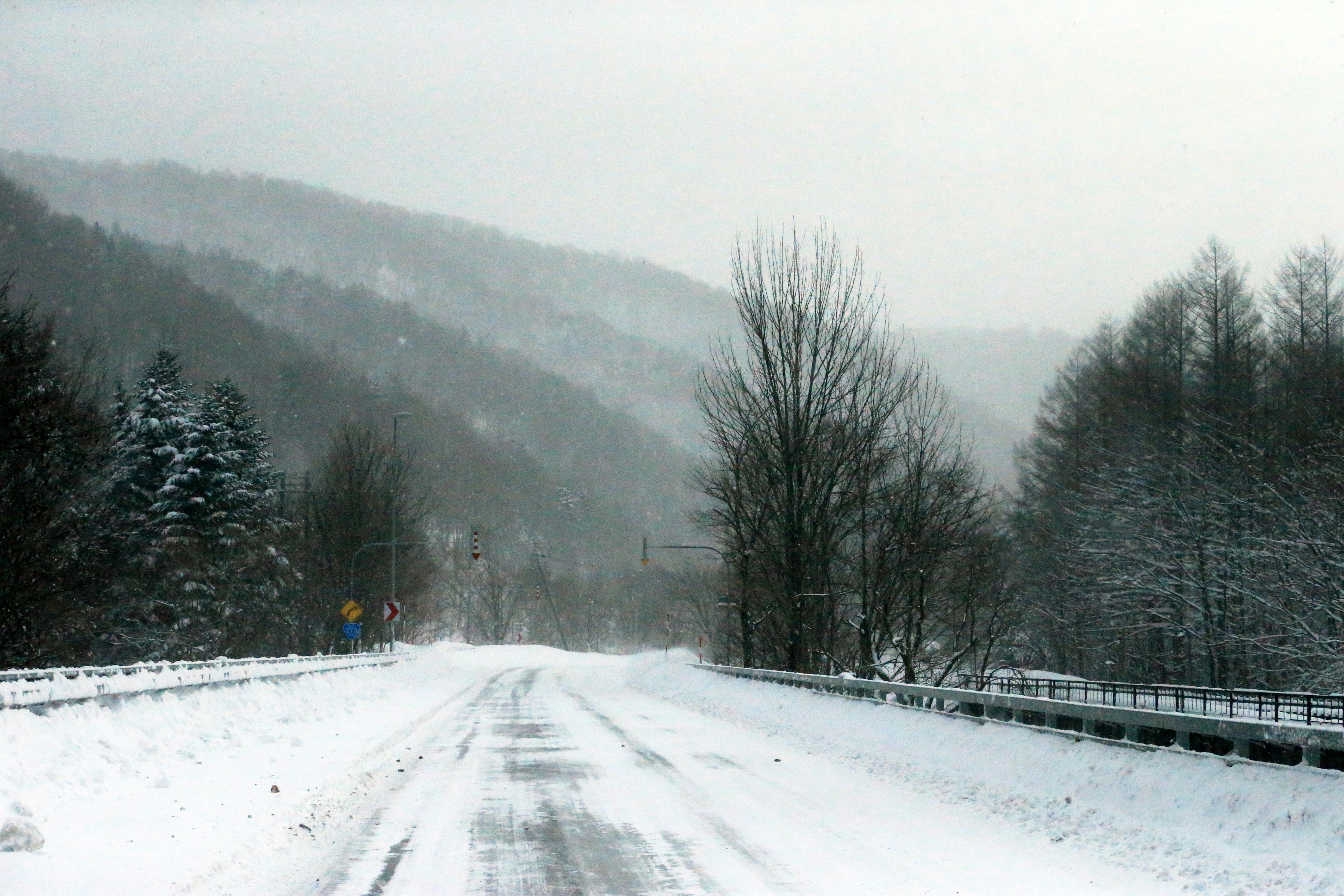 Δωρεάν στοκ φωτογραφιών με hokkaido, road trip, άκρη του δρόμου Φωτογραφία από στοκ φωτογραφιών