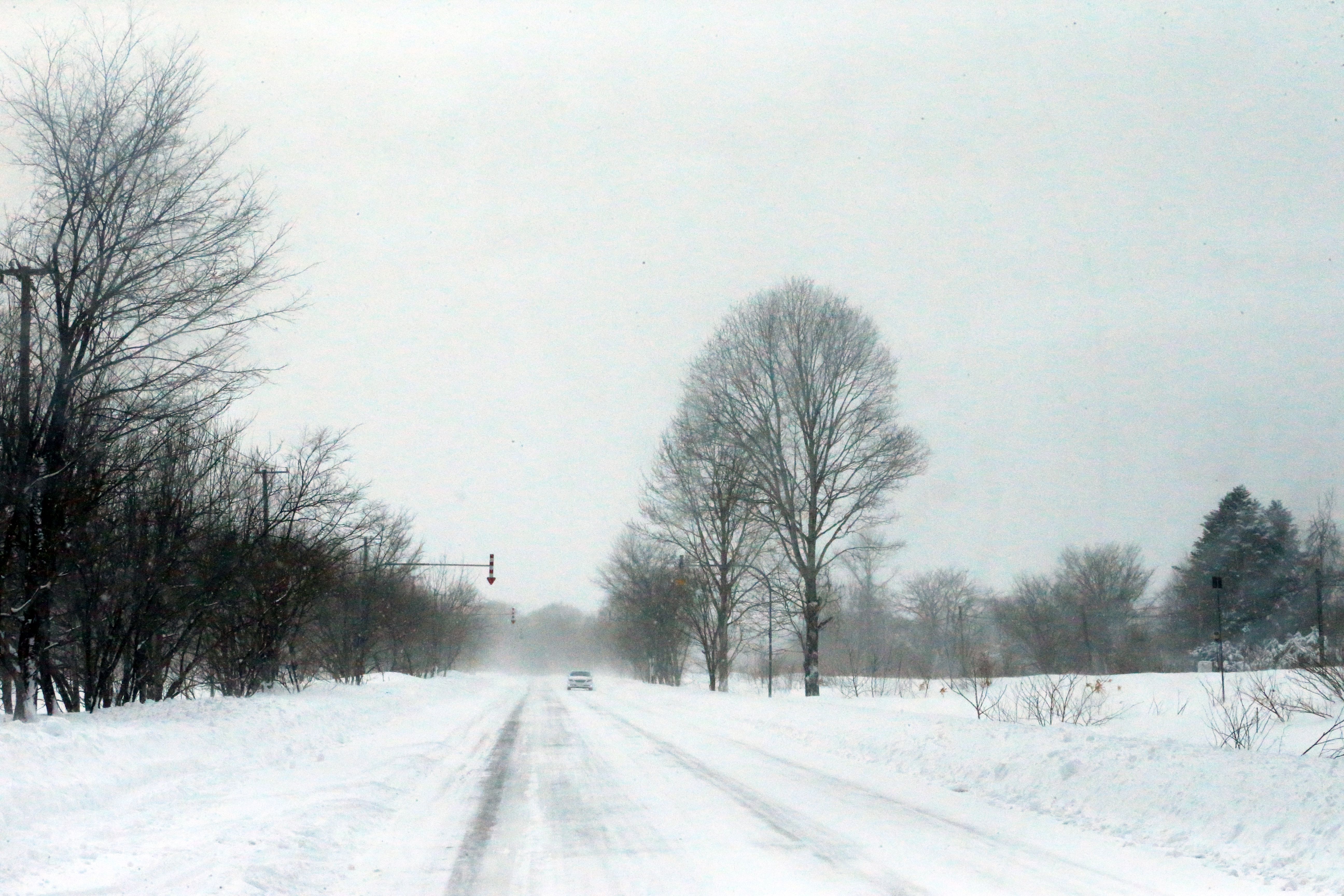 Snowy Winter Road with Bare Trees · Free Stock Photo