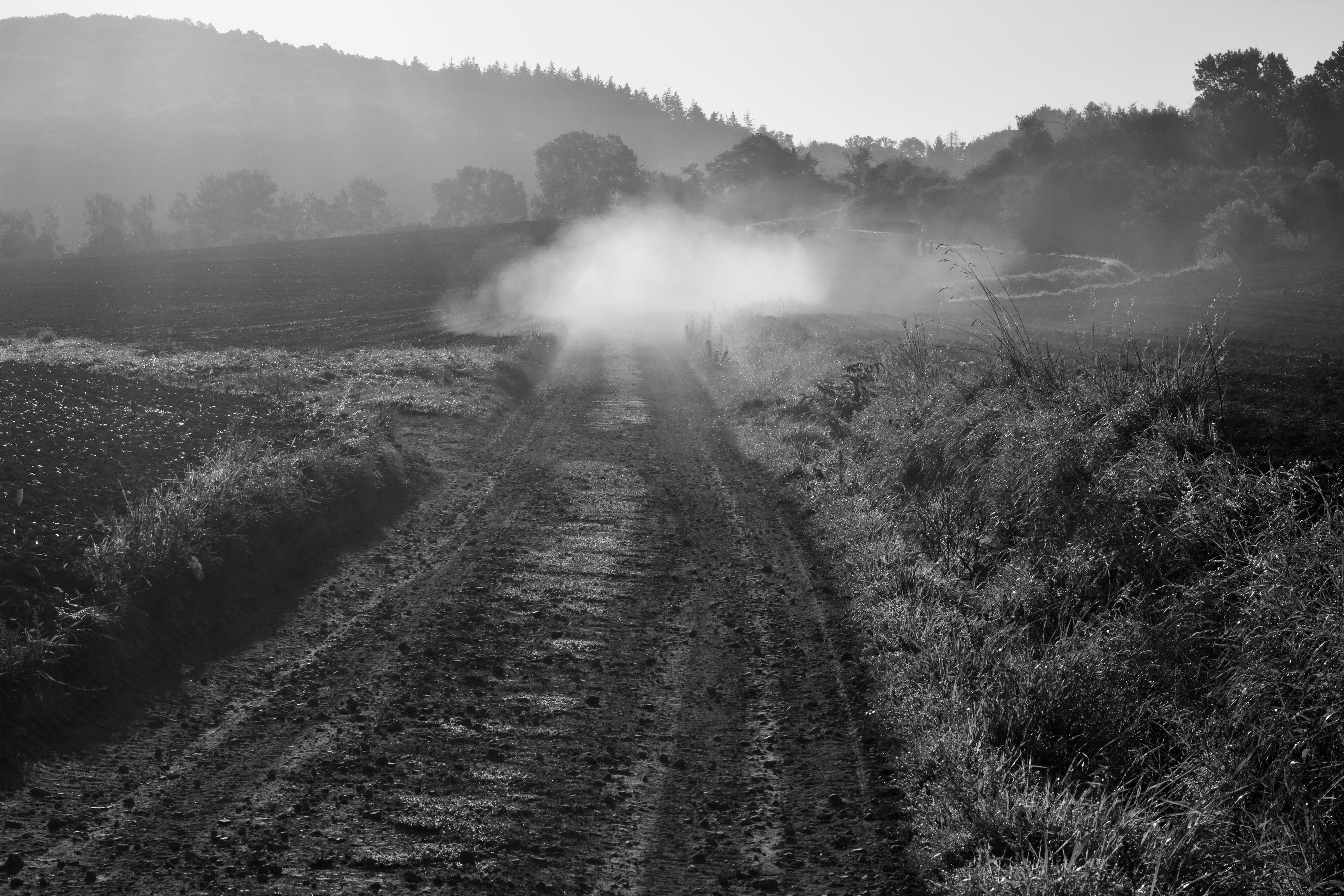 Dusty Rural Pathway in Black and White Landscape · Free Stock Photo