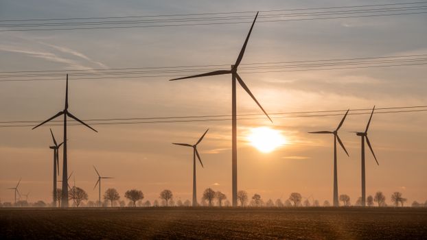 Prachtige zonsondergang met uitzicht op windturbines in Koningsbosch, Limburg, een toonbeeld van duurzame energie.