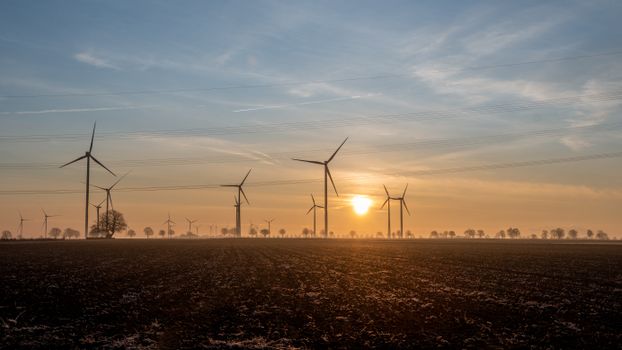 Zonnig buitenlandschap met bomen.