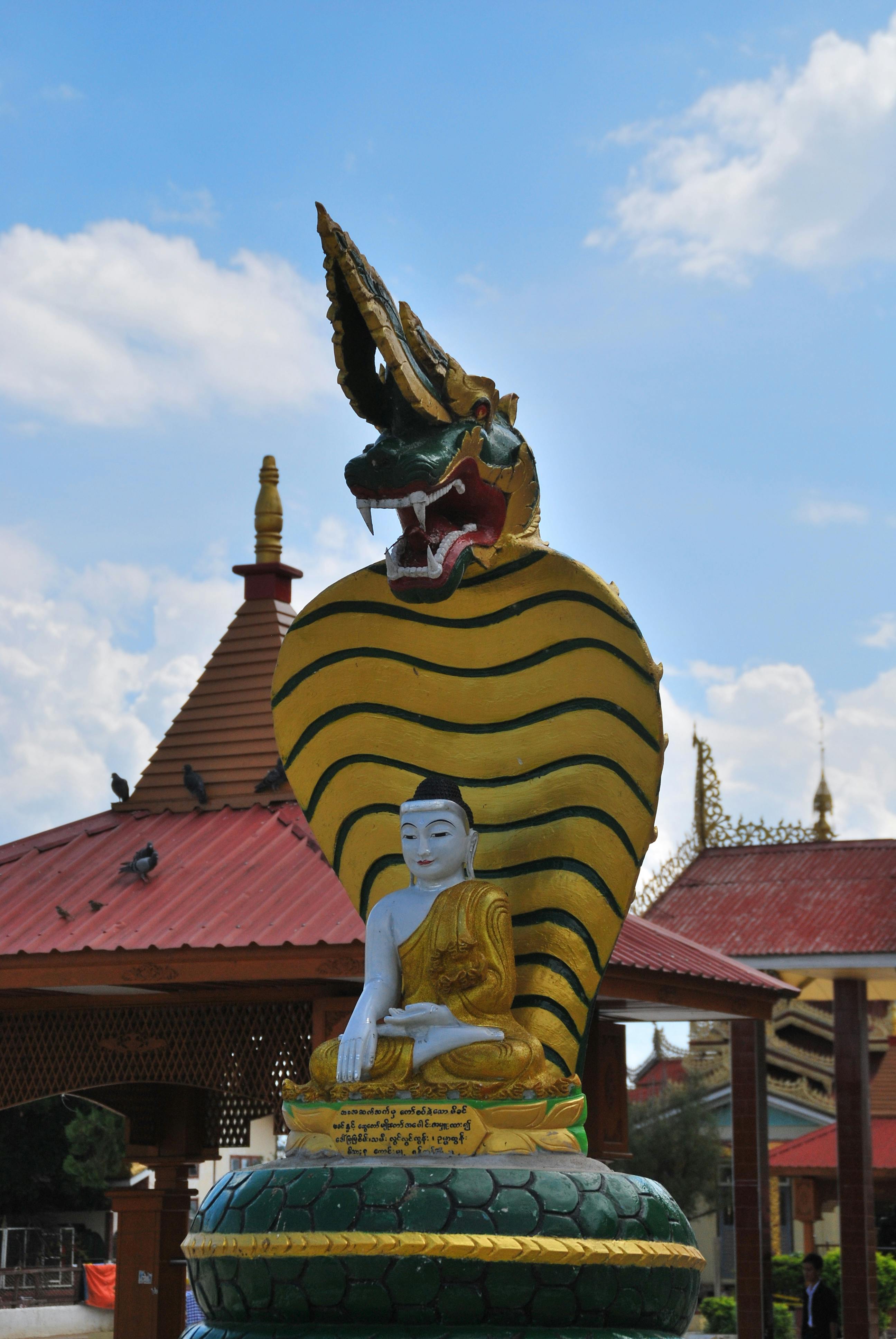 Miễn phí Tượng Phật thanh tịnh với hình ảnh con rắn bảo vệ phía sau, đặt trong khuôn viên chùa ngoài trời, dưới bầu trời xanh. Ảnh lưu trữ