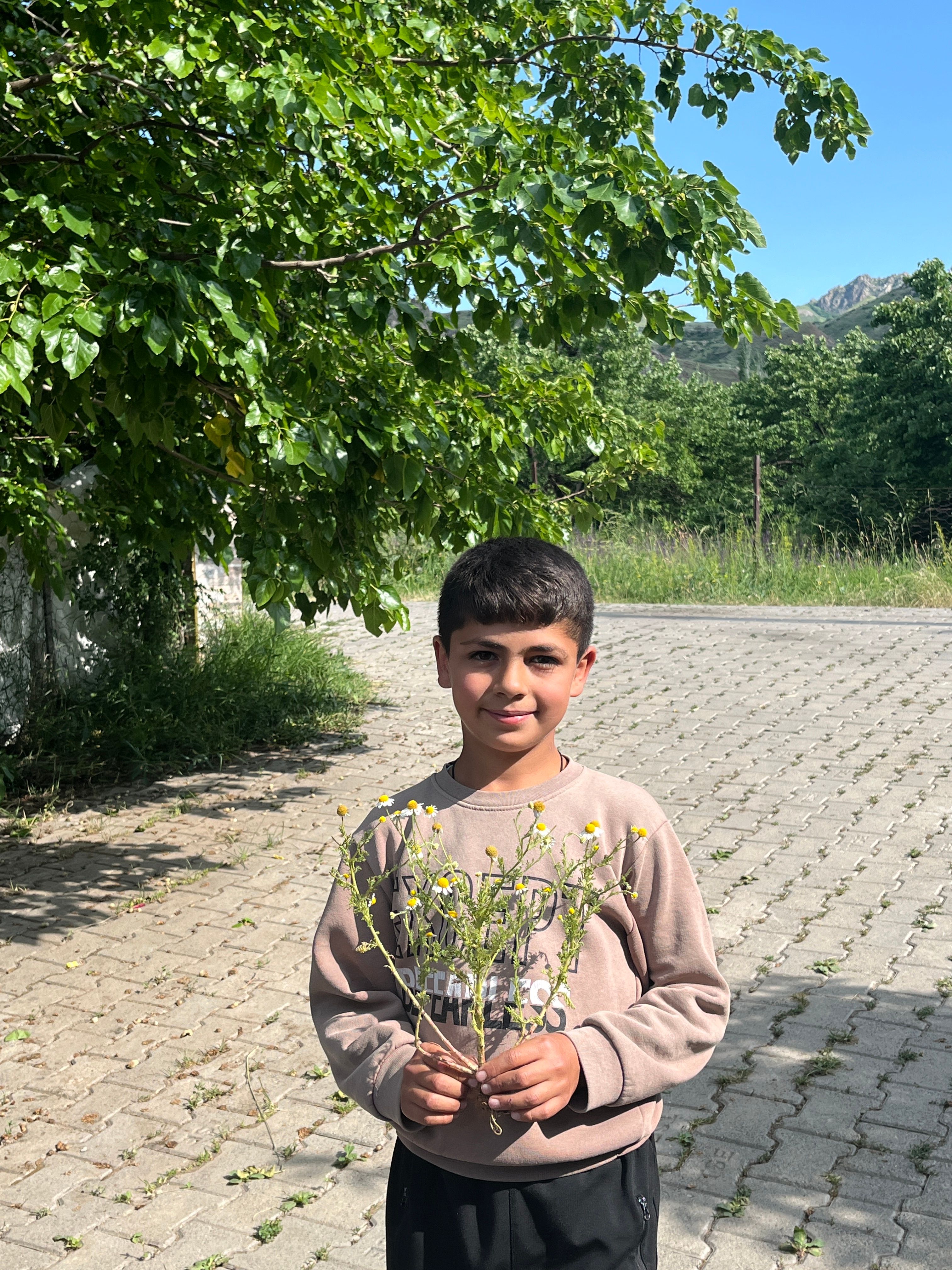 A young boy holding wildflowers stands on a sunny day in a scenic Armenian setting.
