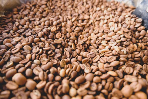 Brown Coffee Beans 