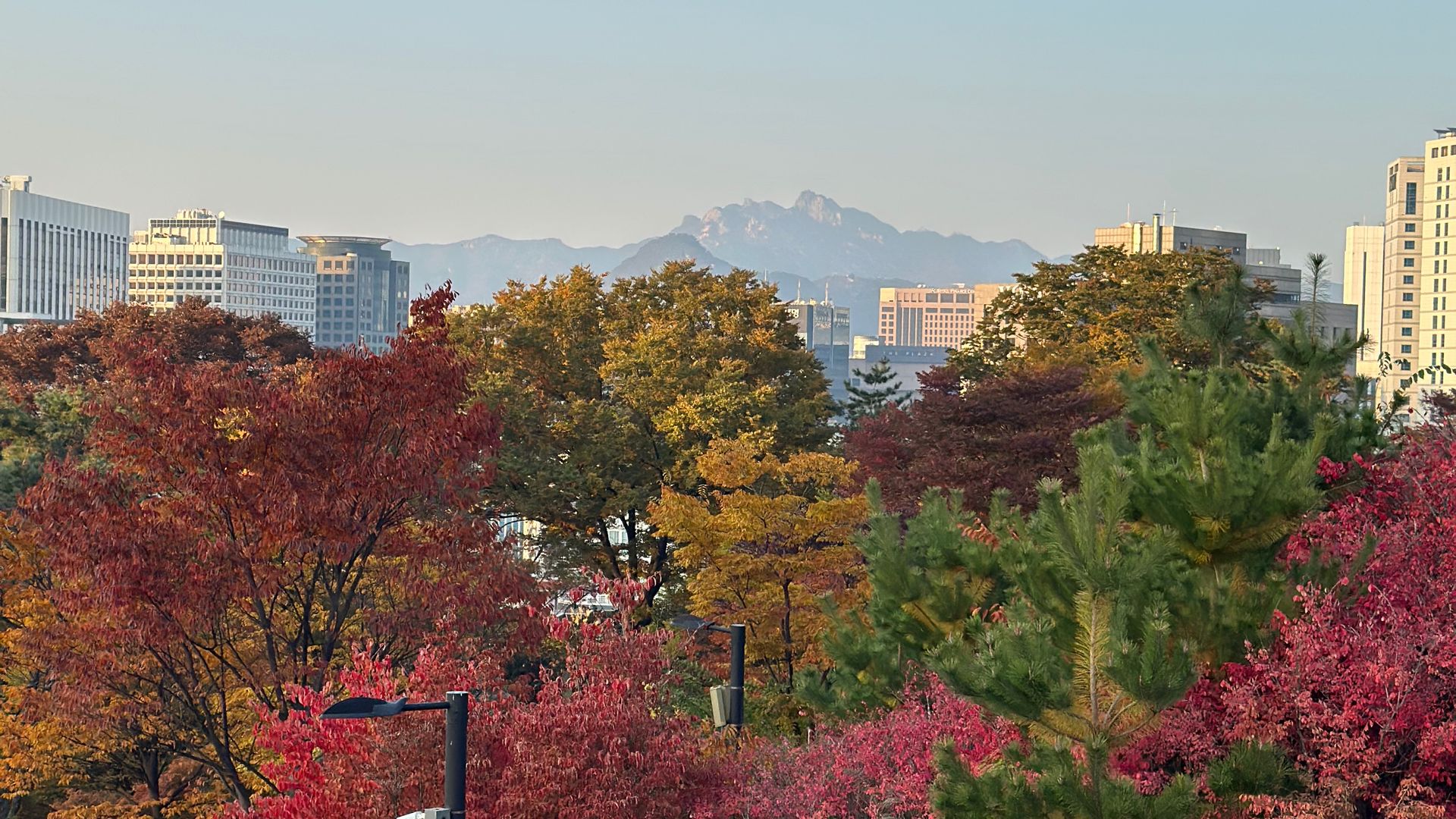 Pemandangan Namsan Seoul saat foliage season Korea Selatan 2026