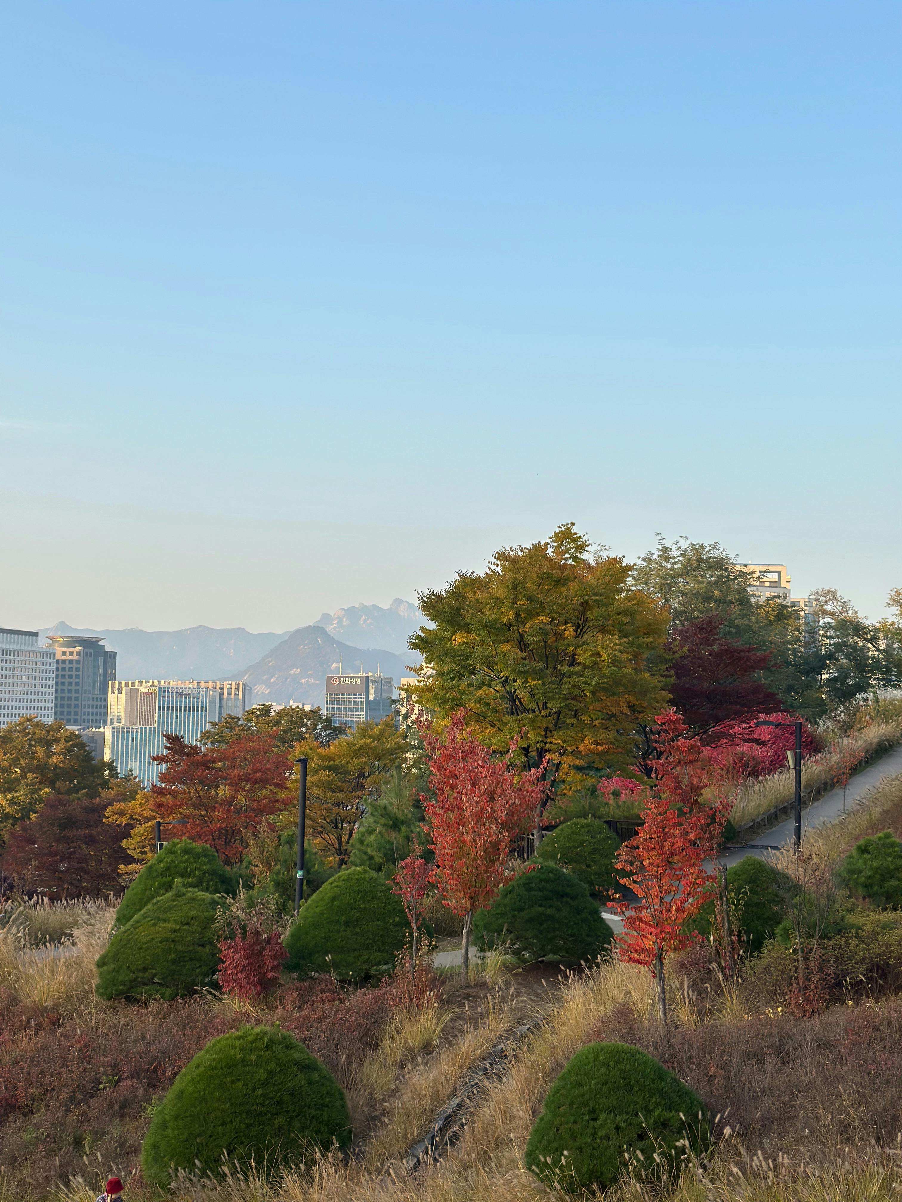 Δωρεάν Εξερευνήστε τα έντονα φθινοπωρινά χρώματα και τον ορίζοντα της πόλης στη Σεούλ της Κορέας. Φωτογραφία από στοκ φωτογραφιών