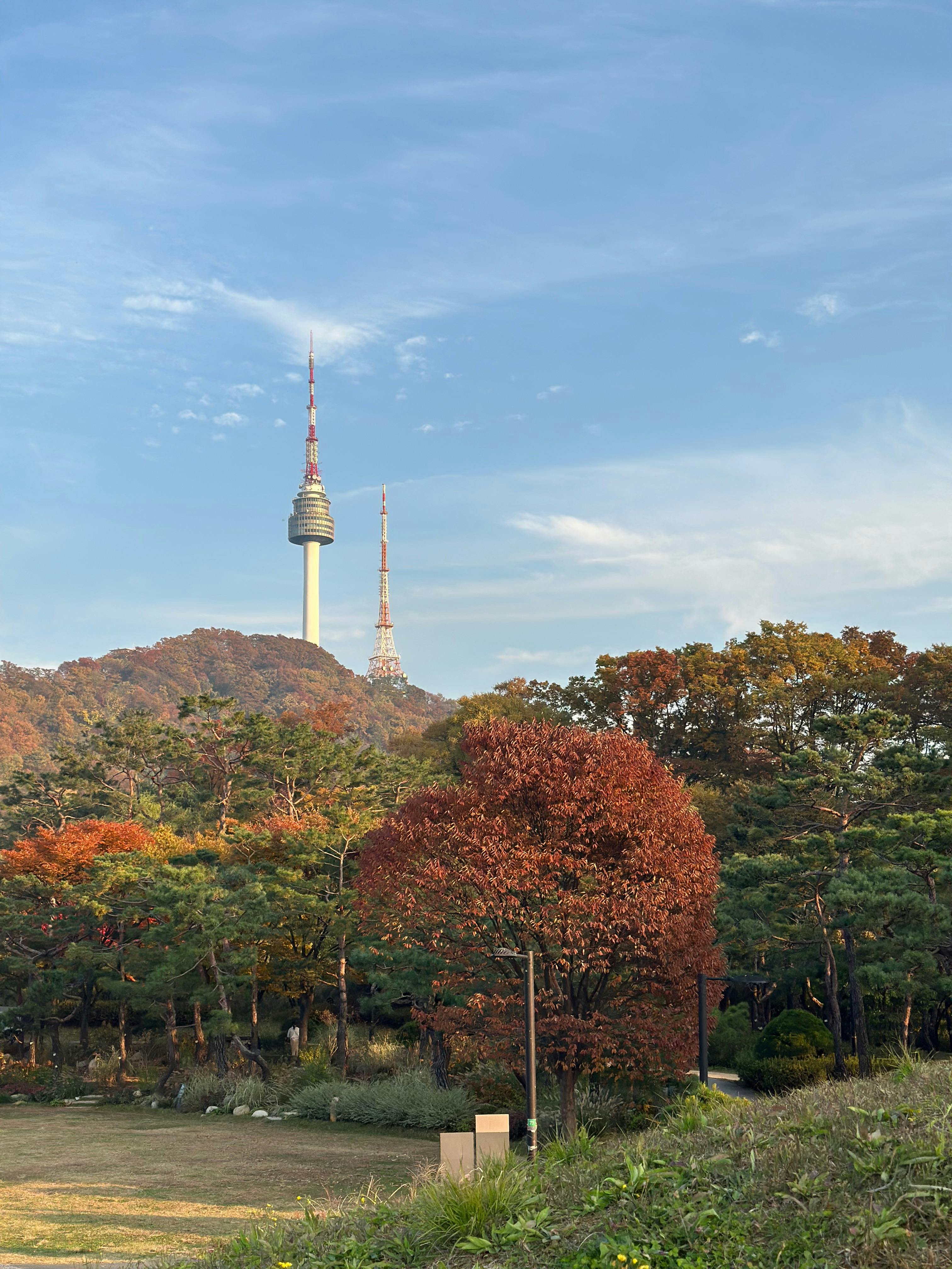Miễn phí Tháp N Seoul ở Seoul, giữa khung cảnh lá mùa thu rực rỡ dưới bầu trời trong xanh. Ảnh lưu trữ