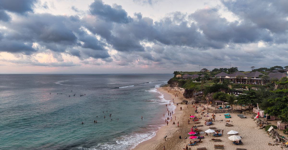 Terraced rice paddies in Bali with palm trees and lush green vegetation under a cloudy sky