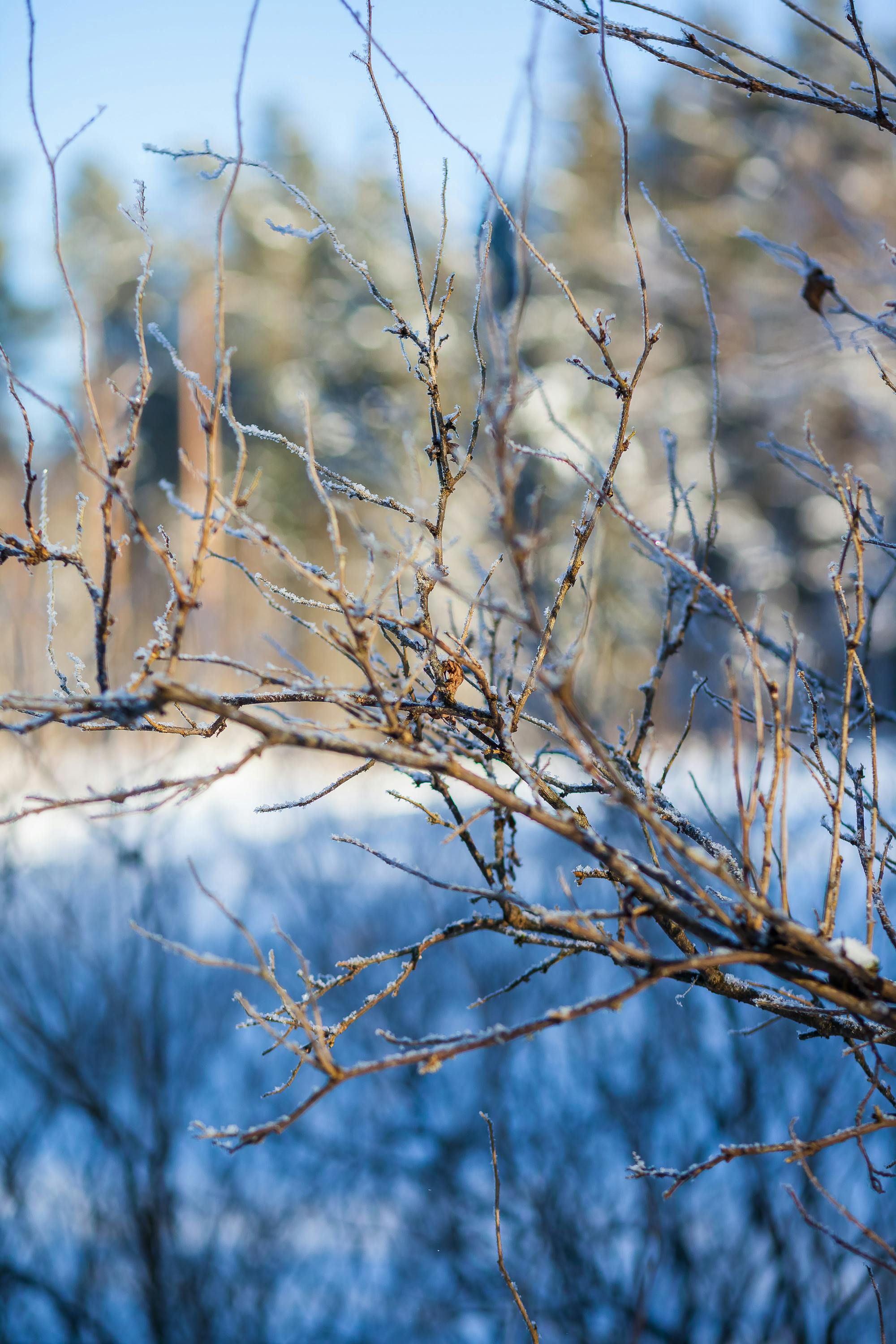 Δωρεάν στοκ φωτογραφιών με @εξωτερικου χωρου, cool, άραγμα Φωτογραφία από στοκ φωτογραφιών