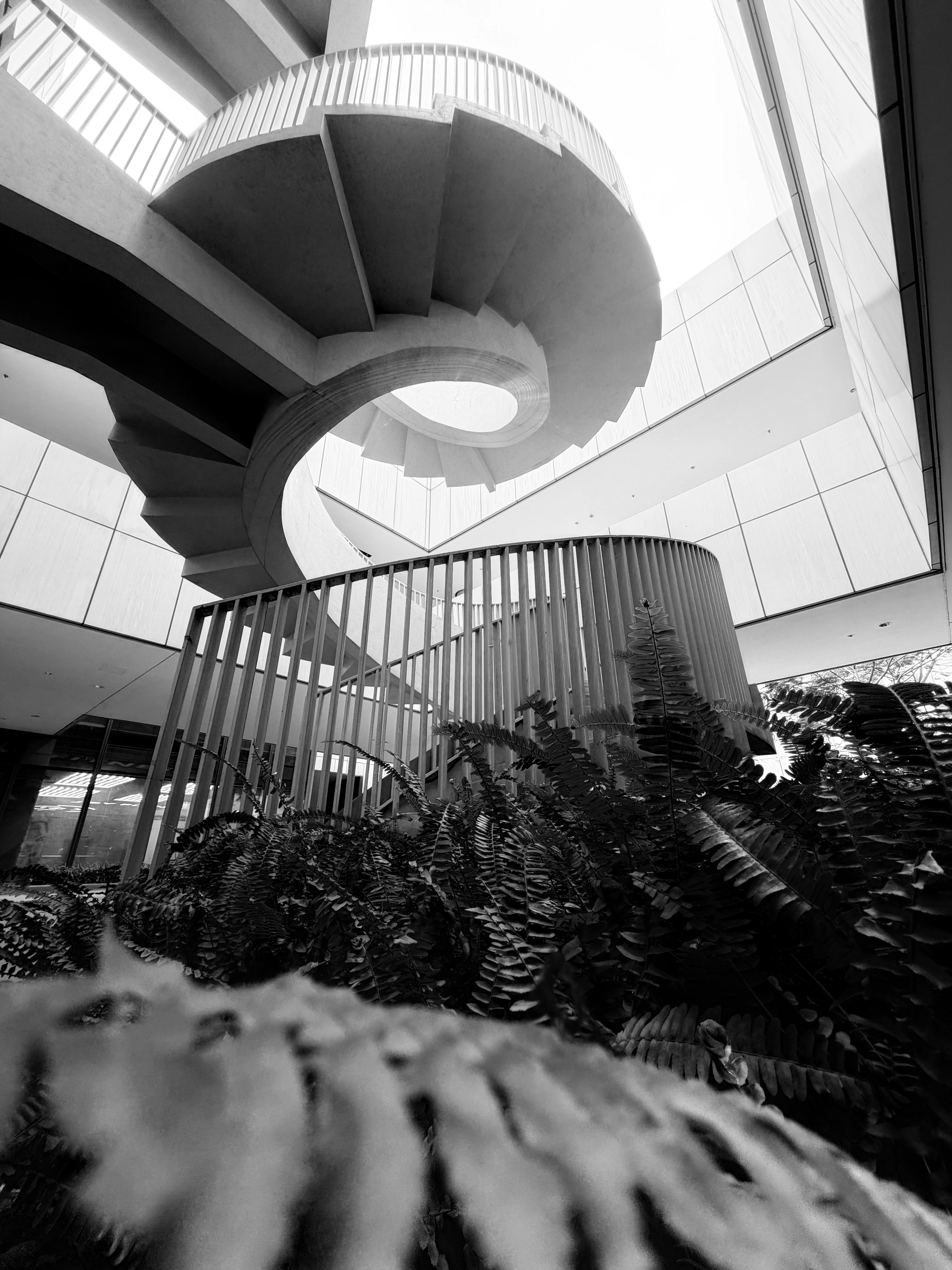 Gratuit O imagine alb-negru uimitoare a unei scări în spirală moderne înconjurate de verdeață. Fotografie de stoc
