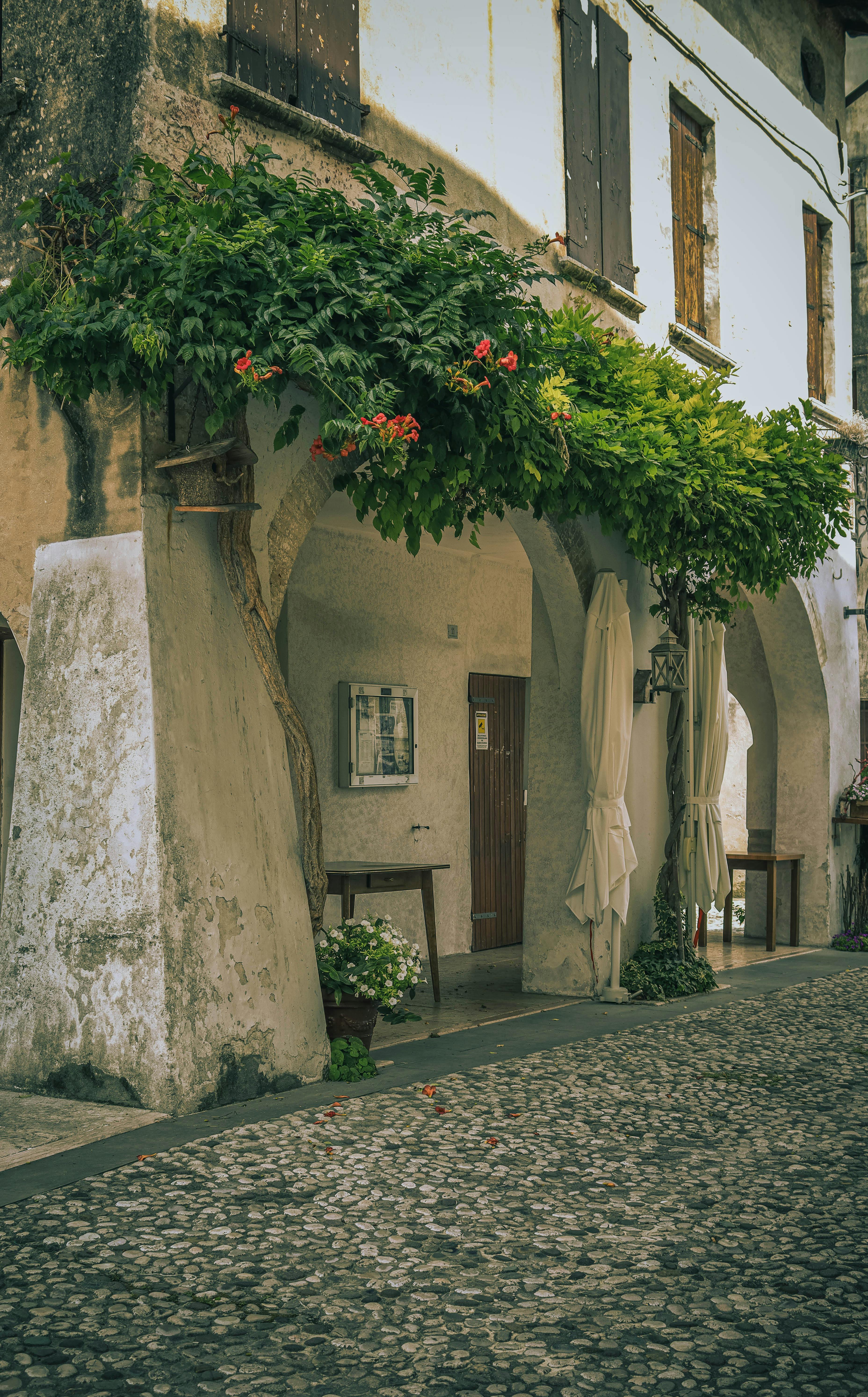 무료 자연스러운 아치형 통로와 생기 넘치는 꽃들이 어우러진 목가적인 유럽식 골목길은 여행에 대한 영감을 얻기에 완벽한 곳입니다. 스톡 사진
