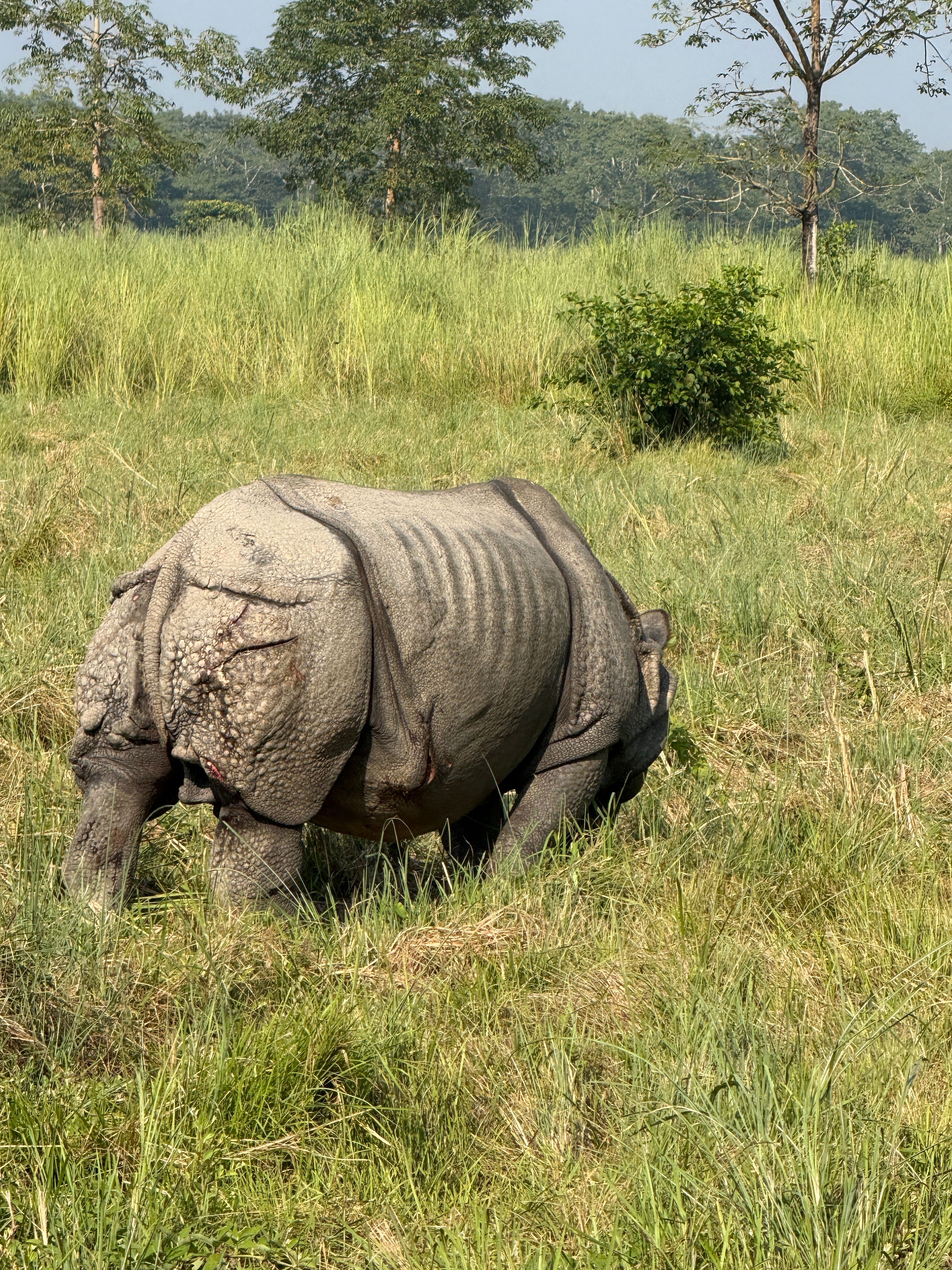 Chitwan vs Bardia: Which Nepal Safari Park Should You Choose?