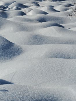 Glistening snow dunes under the winter sun create a serene landscape.
