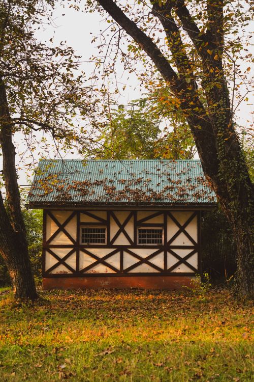 Free Picturesque timber cabin amidst autumn foliage in Srinagar, offering cozy vibes. Stock Photo